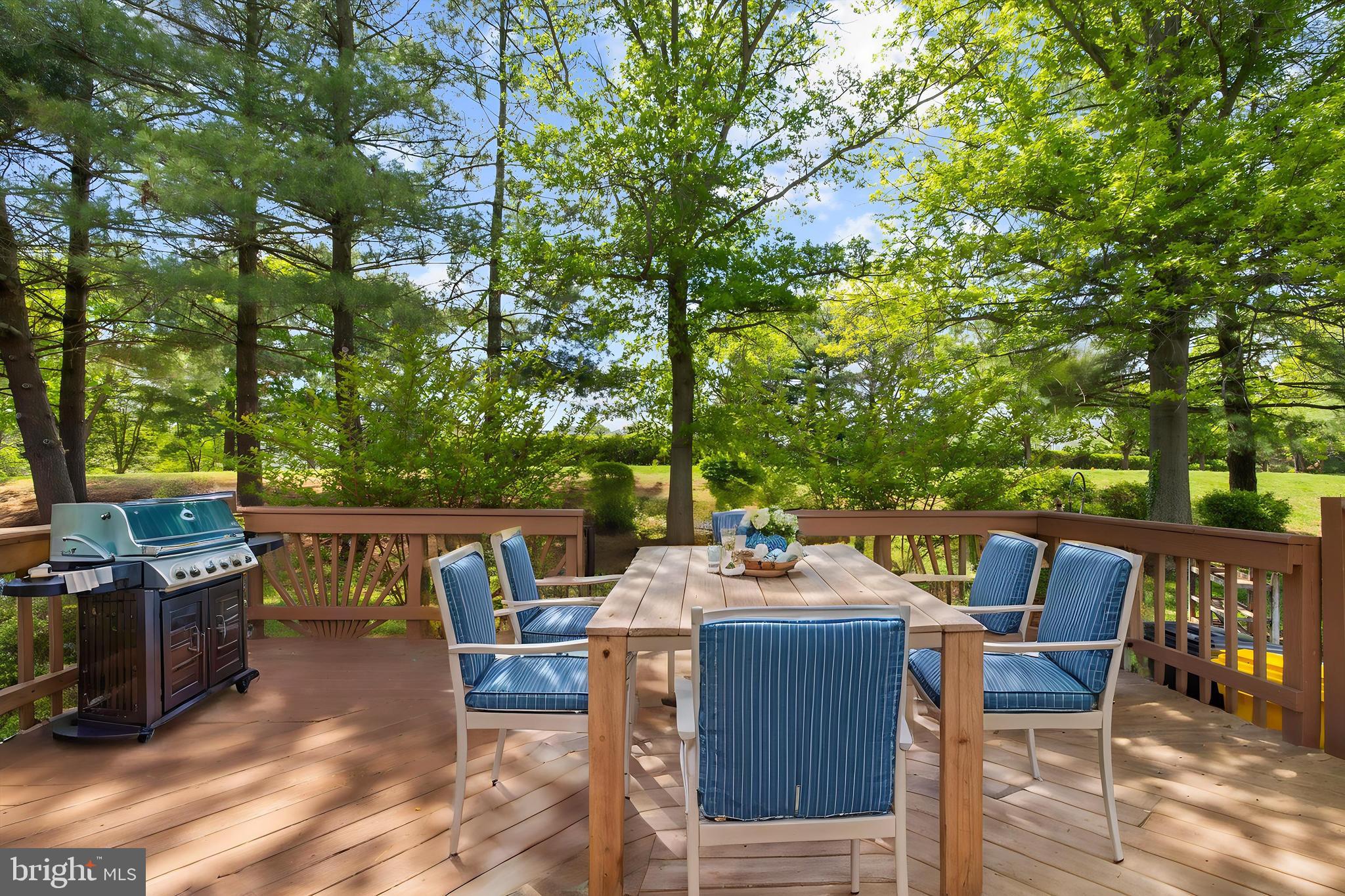 THE BLUFFS AT DEEP CREEK - Residential