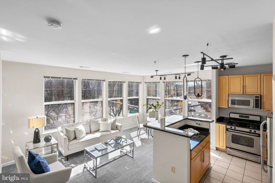 Two Bedroom, Two Bathroom, Two Garage Parking spots, unit Two Eleven. The Silverton Condominium in Downtown Silver Spring is the epitome of modern comfortable modern living! This stunning corner unit is flooded in natural light and offers two spacious bedrooms and two full bathrooms, perfect for modern city living. Freshly painted from top to bottom, with brand-new light fixtures throughout and deep-cleaned carpets, this home is move-in ready! The open-concept kitchen is a dream for any chef, featuring sleek black countertops, stainless steel appliances, and natural light flooding the area—ideal for entertaining. Enjoy peace of mind knowing the HVAC system (heat pump) is only two years old (March 2023), and the water heater is about 4 years old (August 2021)! This unit comes with not just one, but TWO incredible garage parking spots (217  &  55) and a private storage unit (16-1)—a rare find! The Silverton is a pet-friendly, full-service building offering resort-style amenities, including a fitness center, gorgeous outdoor pool, stylish party room, and private dog run. Live just a block and a half from the Metro, with endless dining, shopping, and entertainment options at your doorstep, plus the upcoming Metro Purple Line for utmost convenience. Don’t miss your chance to own this extraordinary, corner unit, sun-drenched retreat in the heart of Downtown Silver Spring!