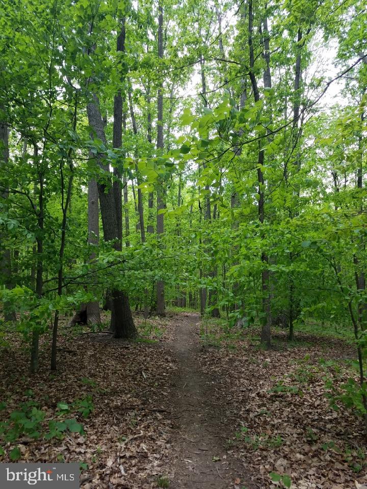 SADDLE CREEK - Residential