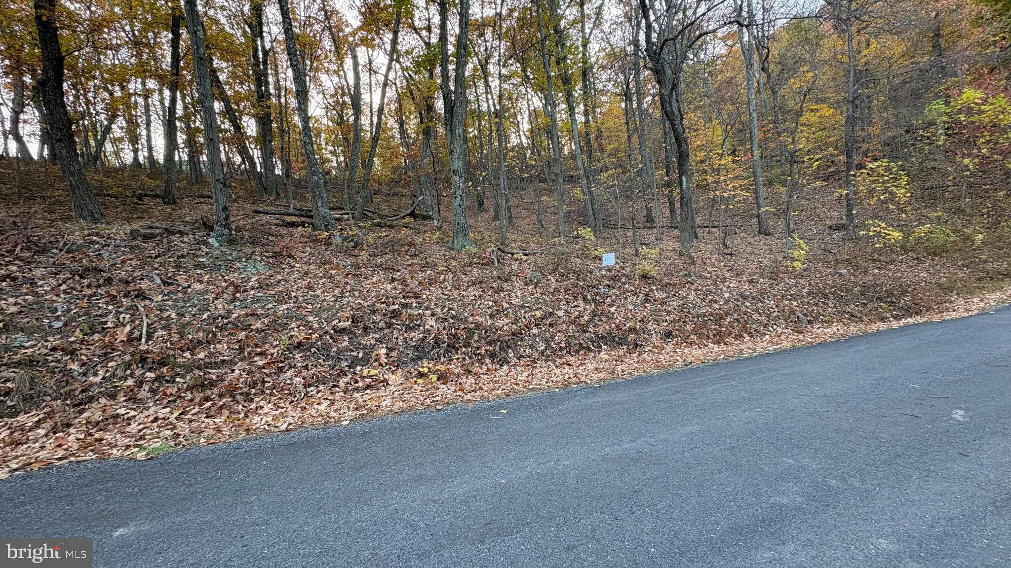 Lot 103 DOGWOOD TRAIL