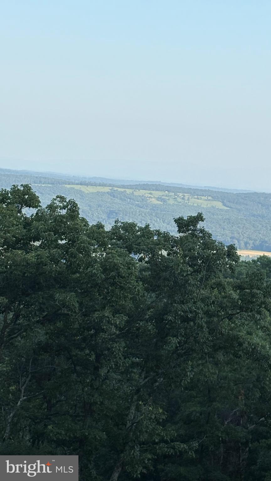 Lot 103 DOGWOOD TRAIL