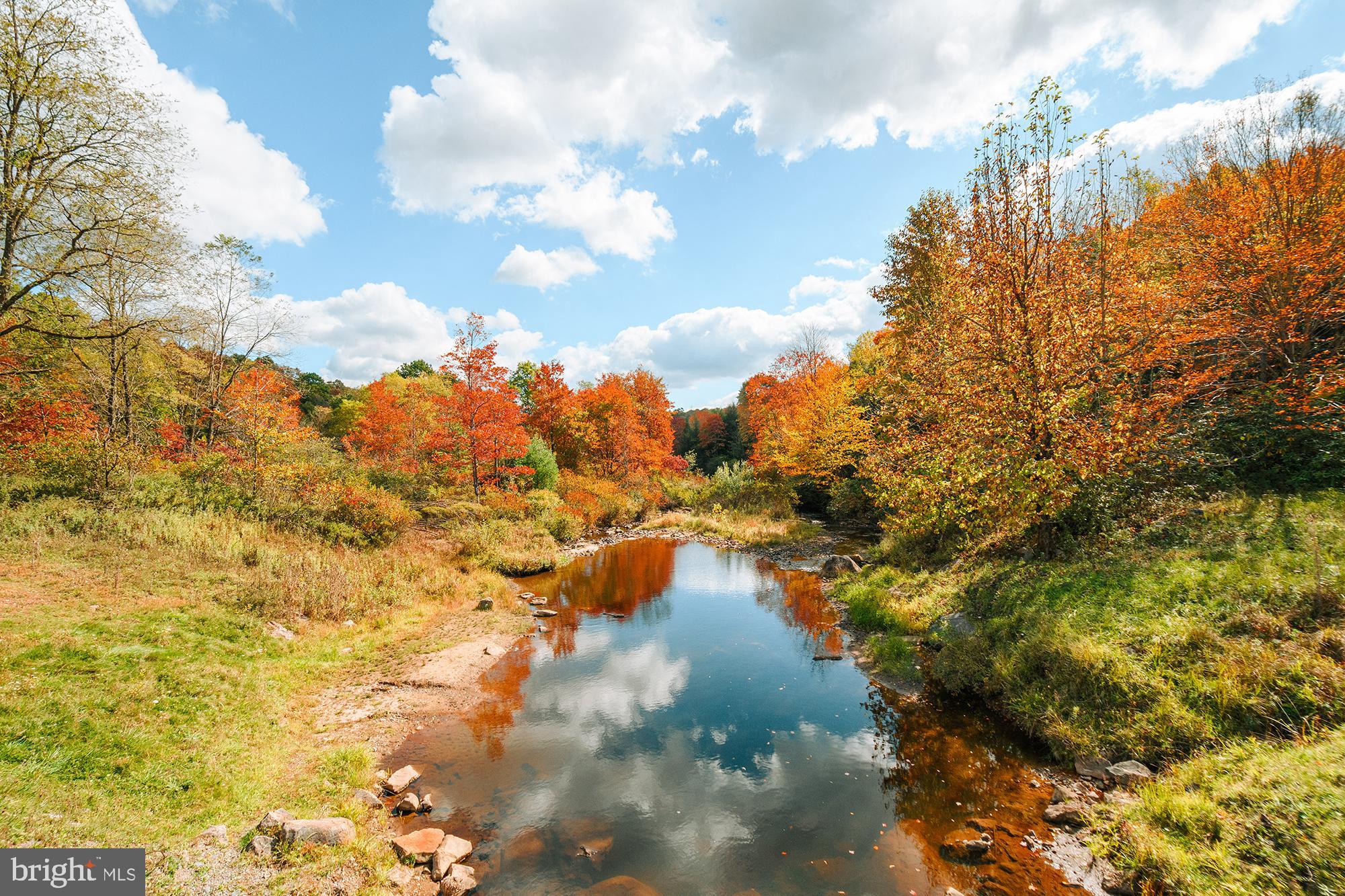 Lot 40 BIG PINEY DRIVE