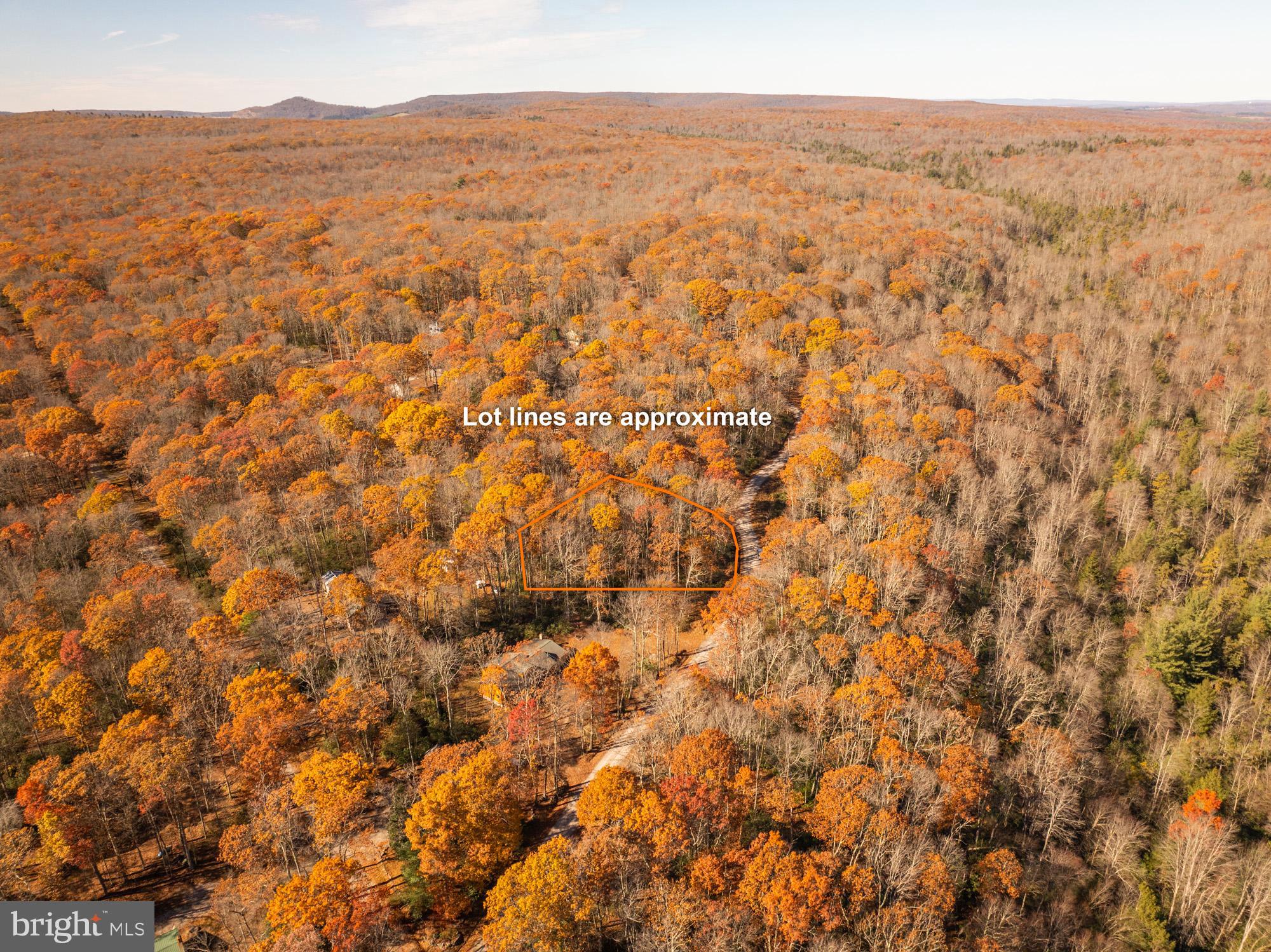 Lot 40 BIG PINEY DRIVE