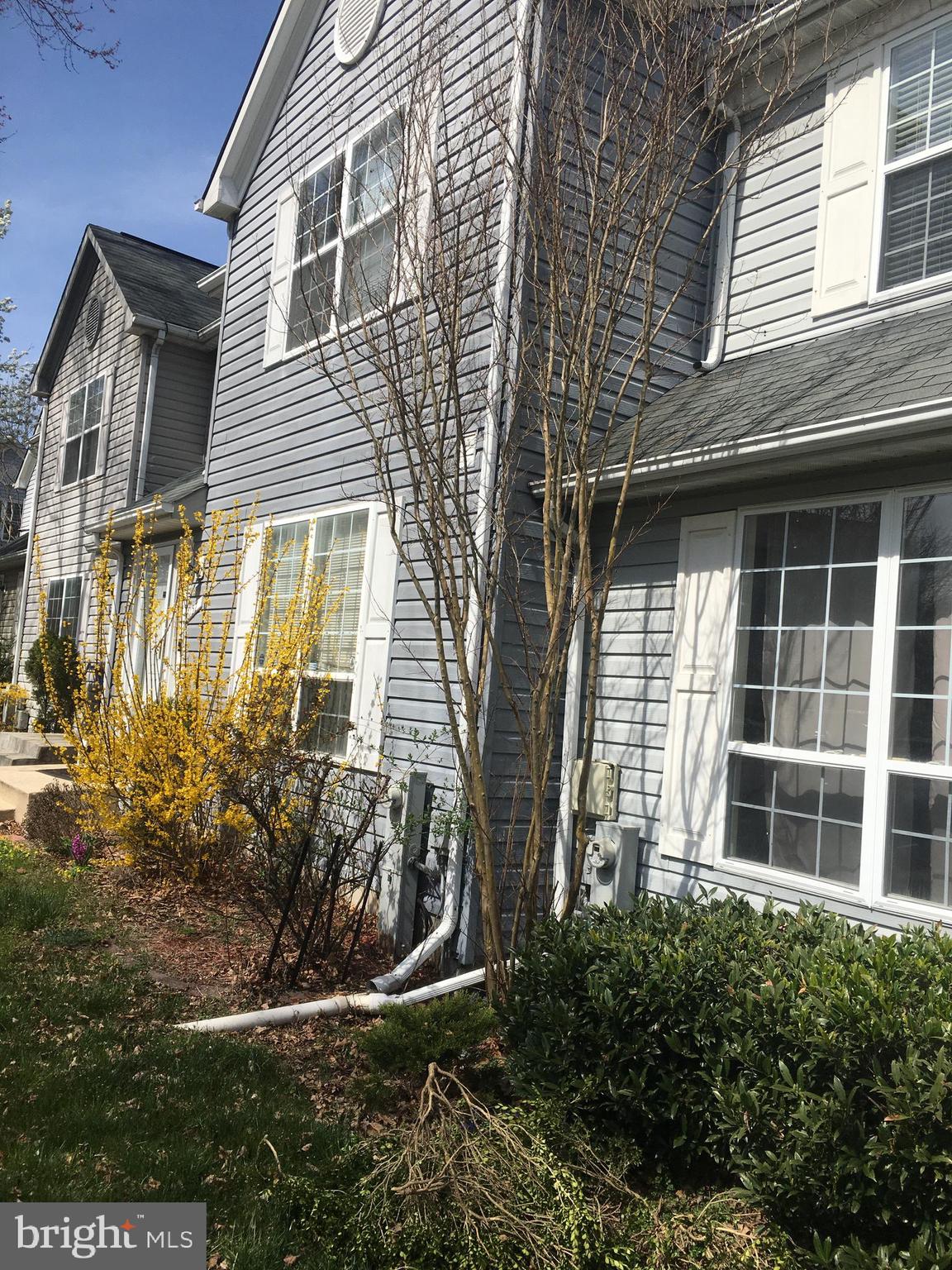 6159 GOOD HUNTERS RIDE