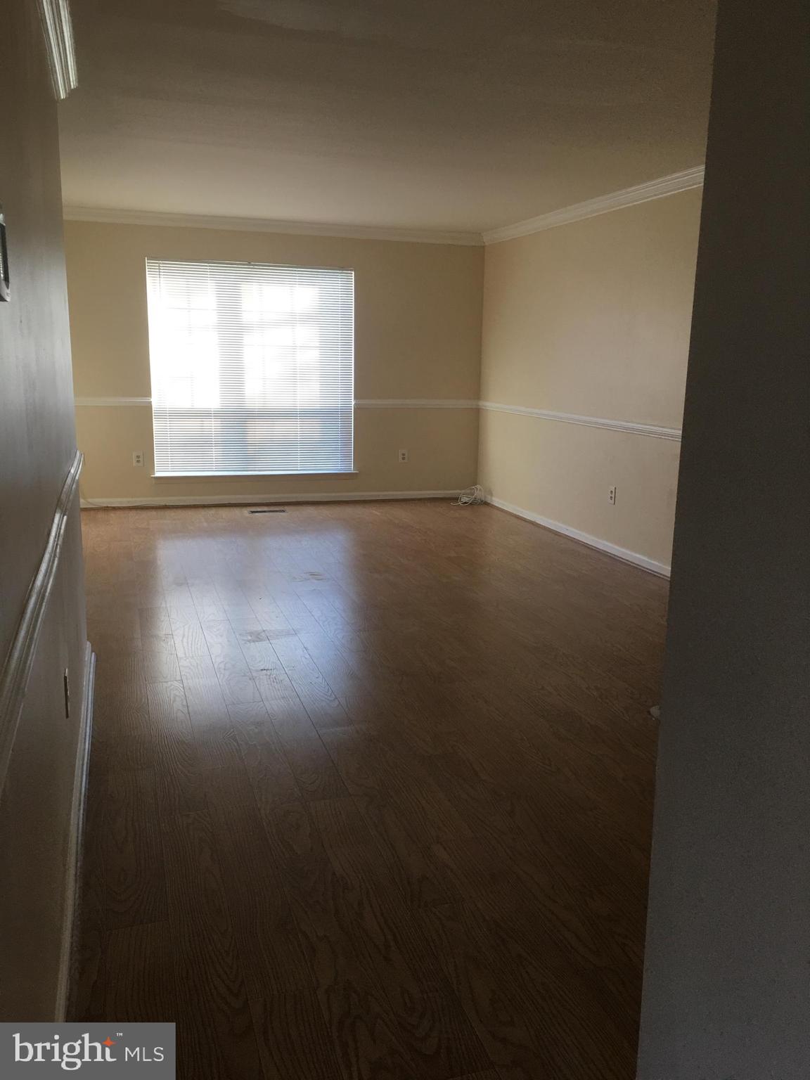 6159 GOOD HUNTERS RIDE