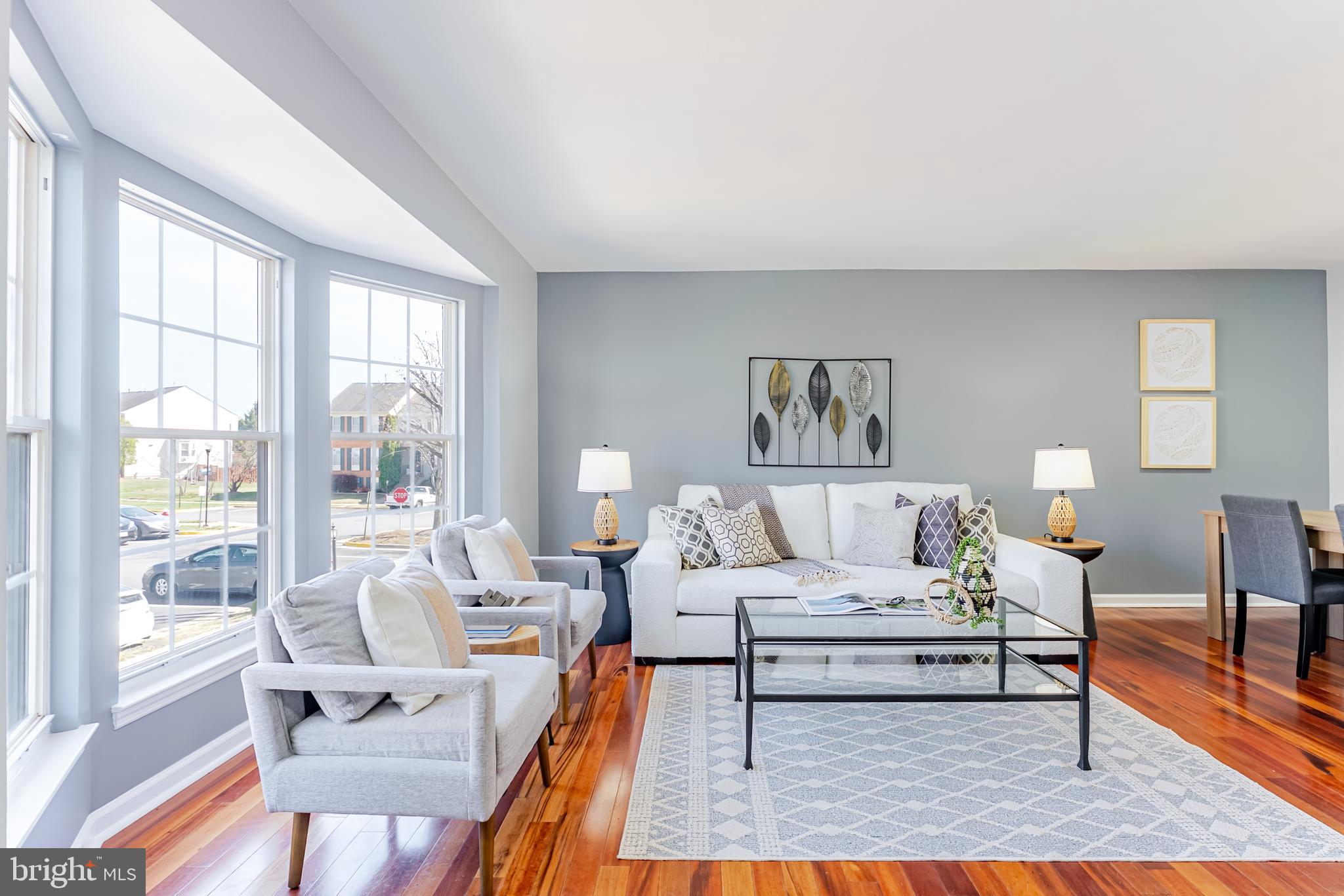 ASHBURN VILLAGE - Residential