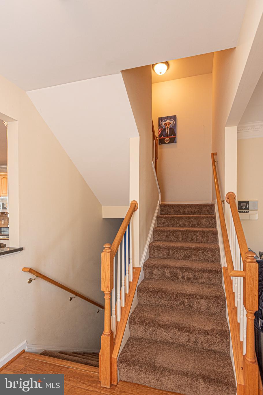 SUNSET ISLAND - Residential