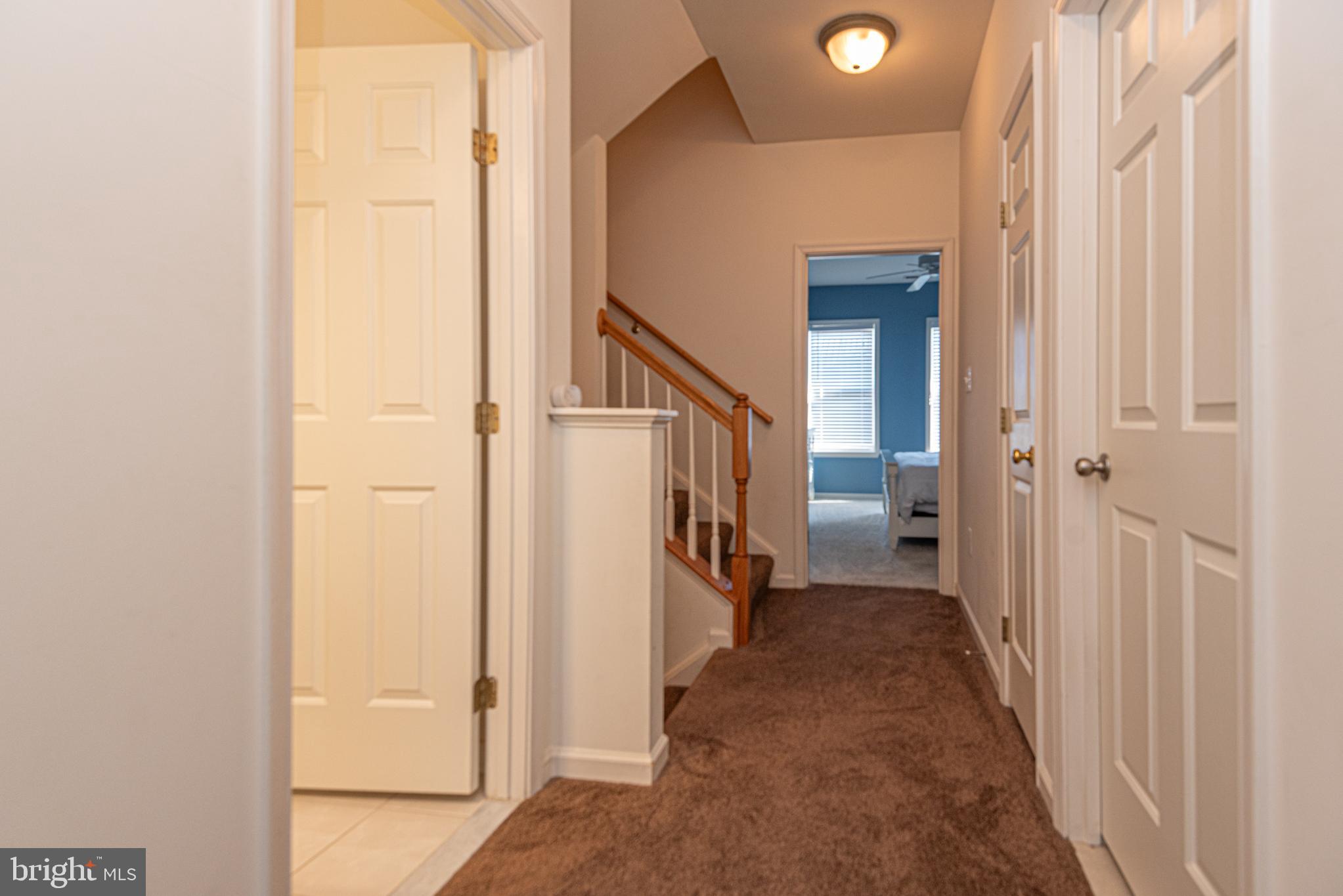 SUNSET ISLAND - Residential