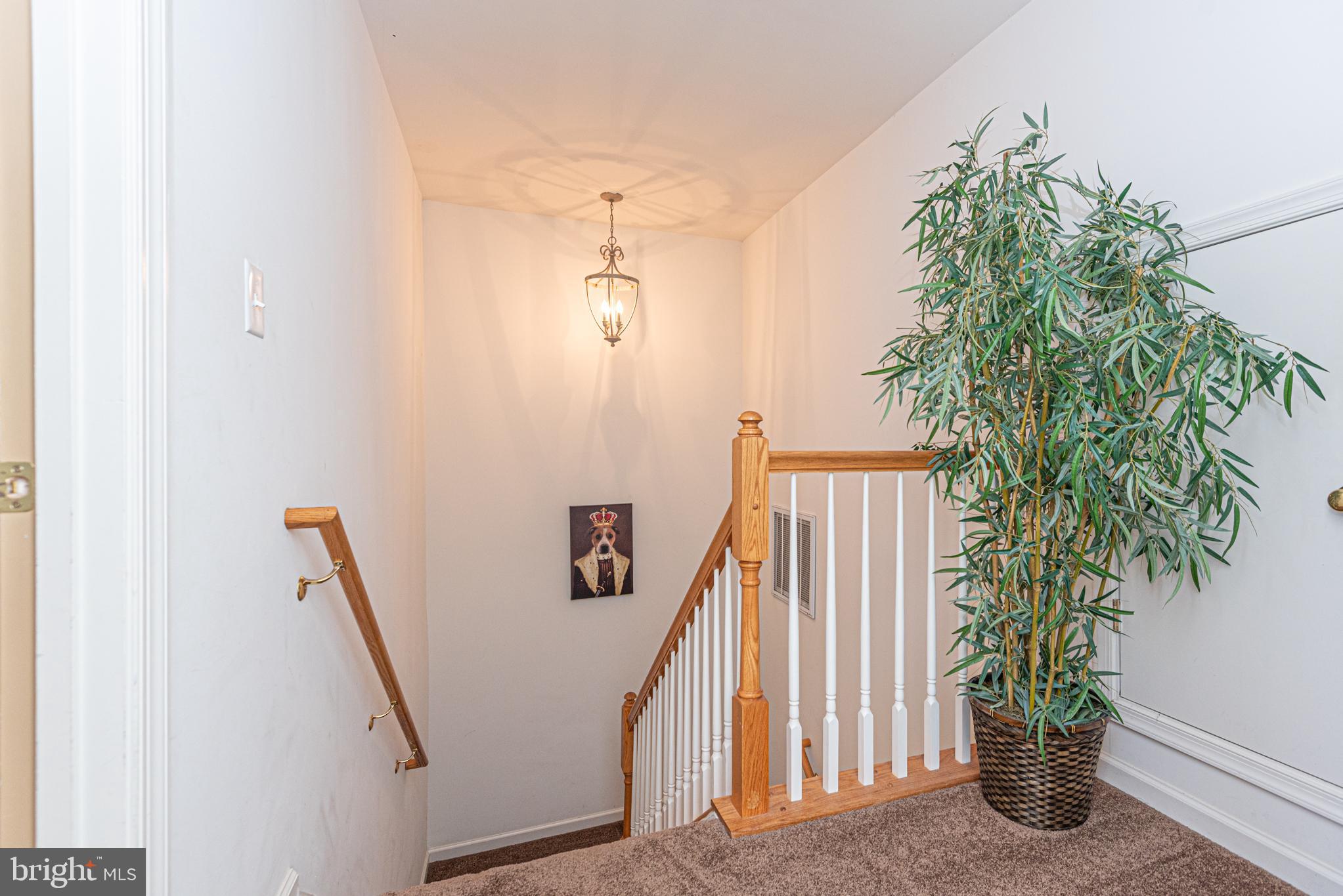 SUNSET ISLAND - Residential