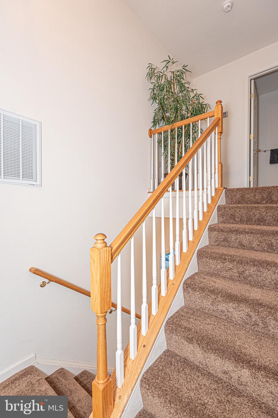 SUNSET ISLAND - Residential