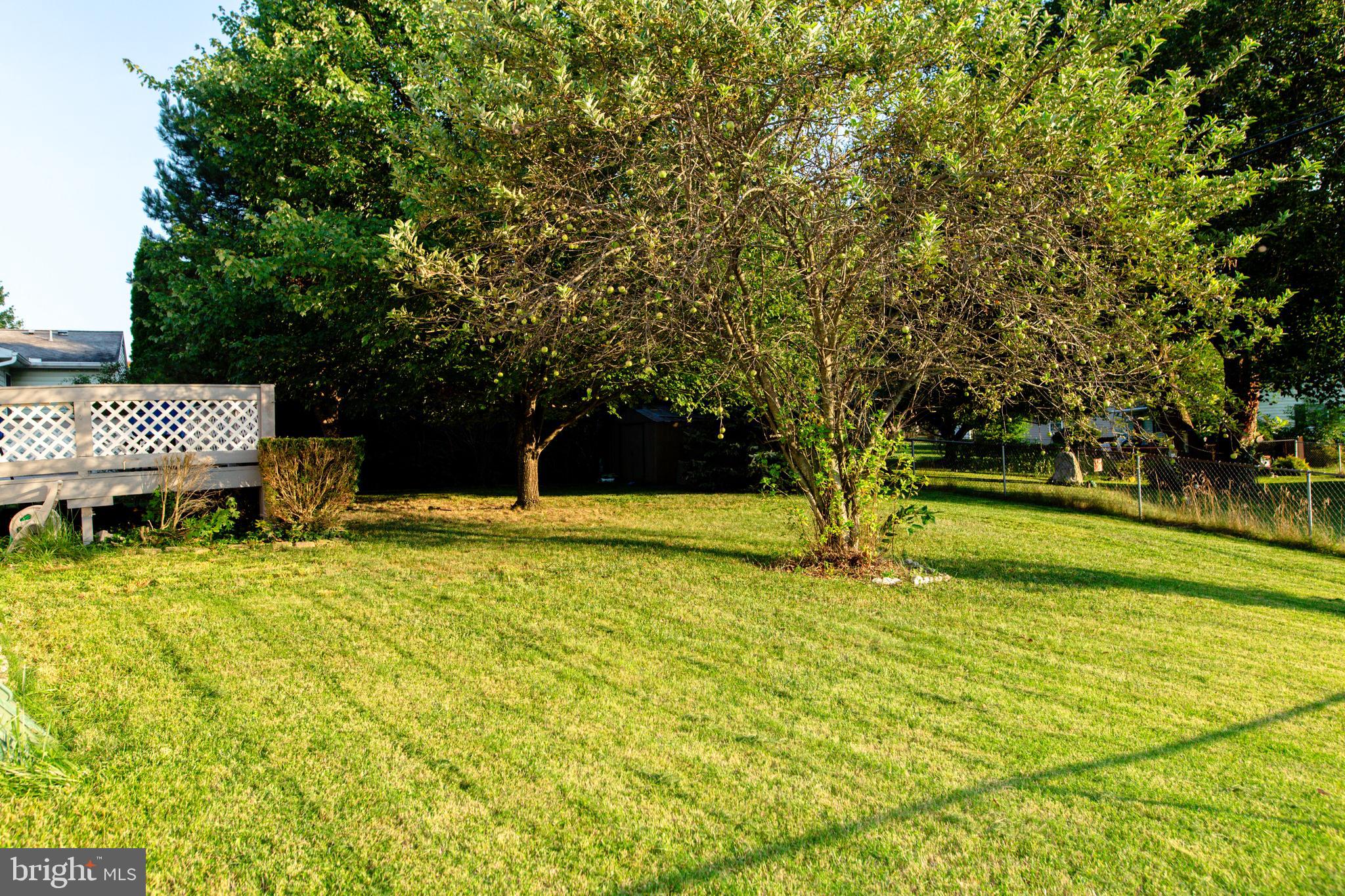 CARROLL HEIGHTS - Residential