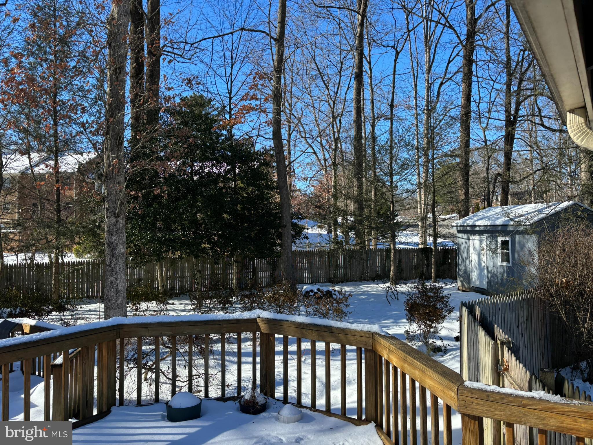 CARDINAL FOREST - Residential Lease