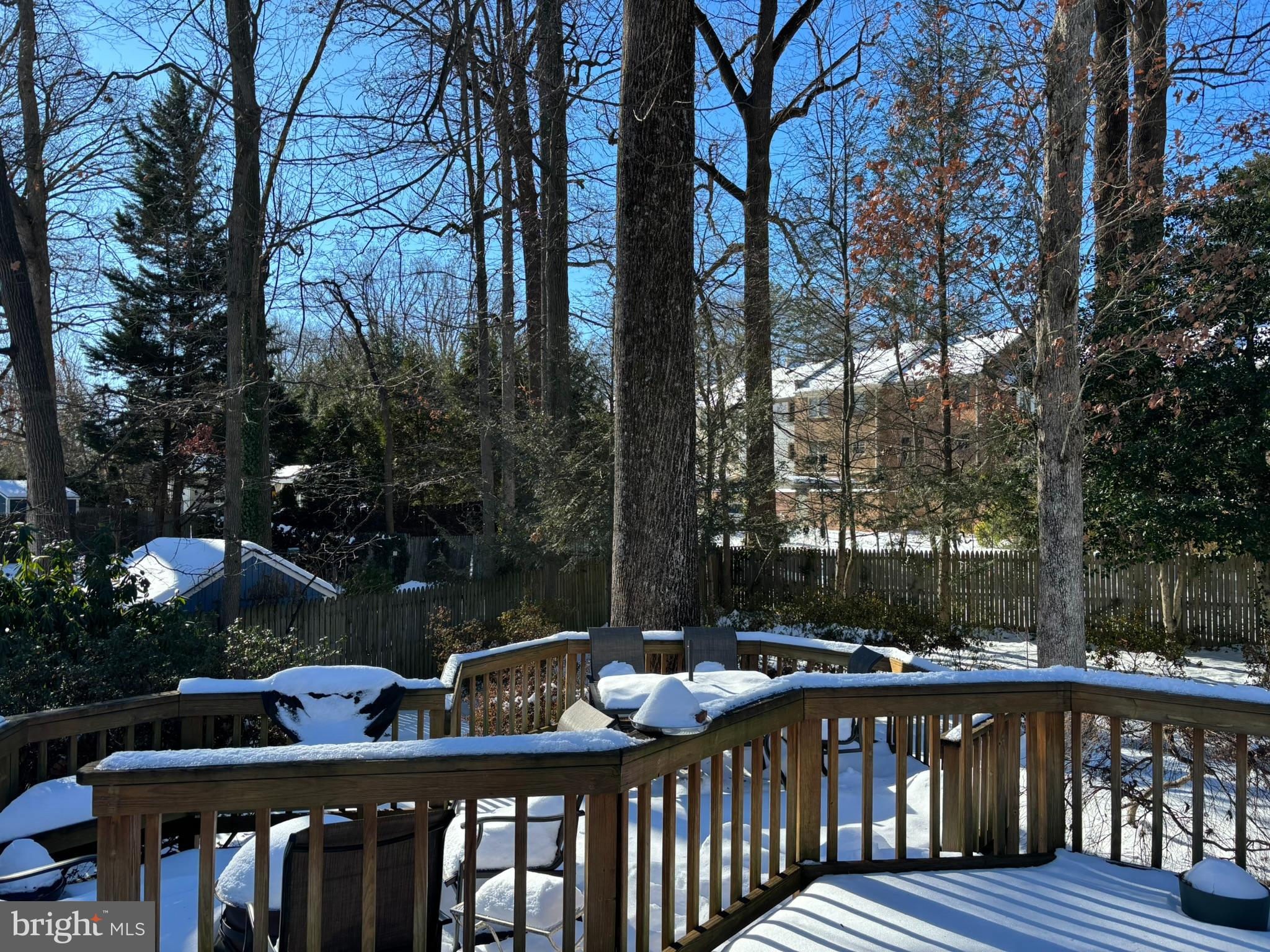 CARDINAL FOREST - Residential Lease