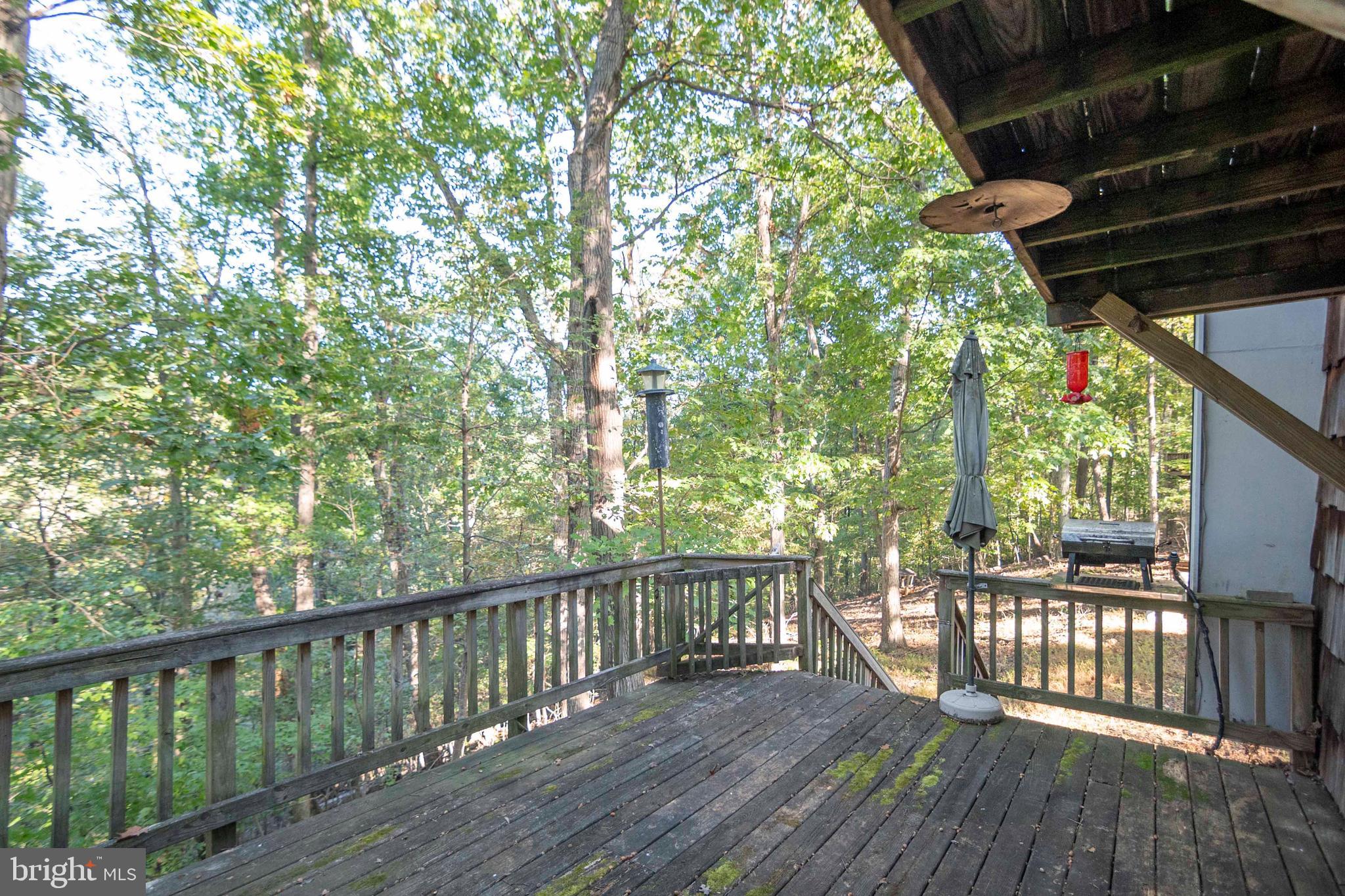 SHEN FARMS MT LAKE - Residential