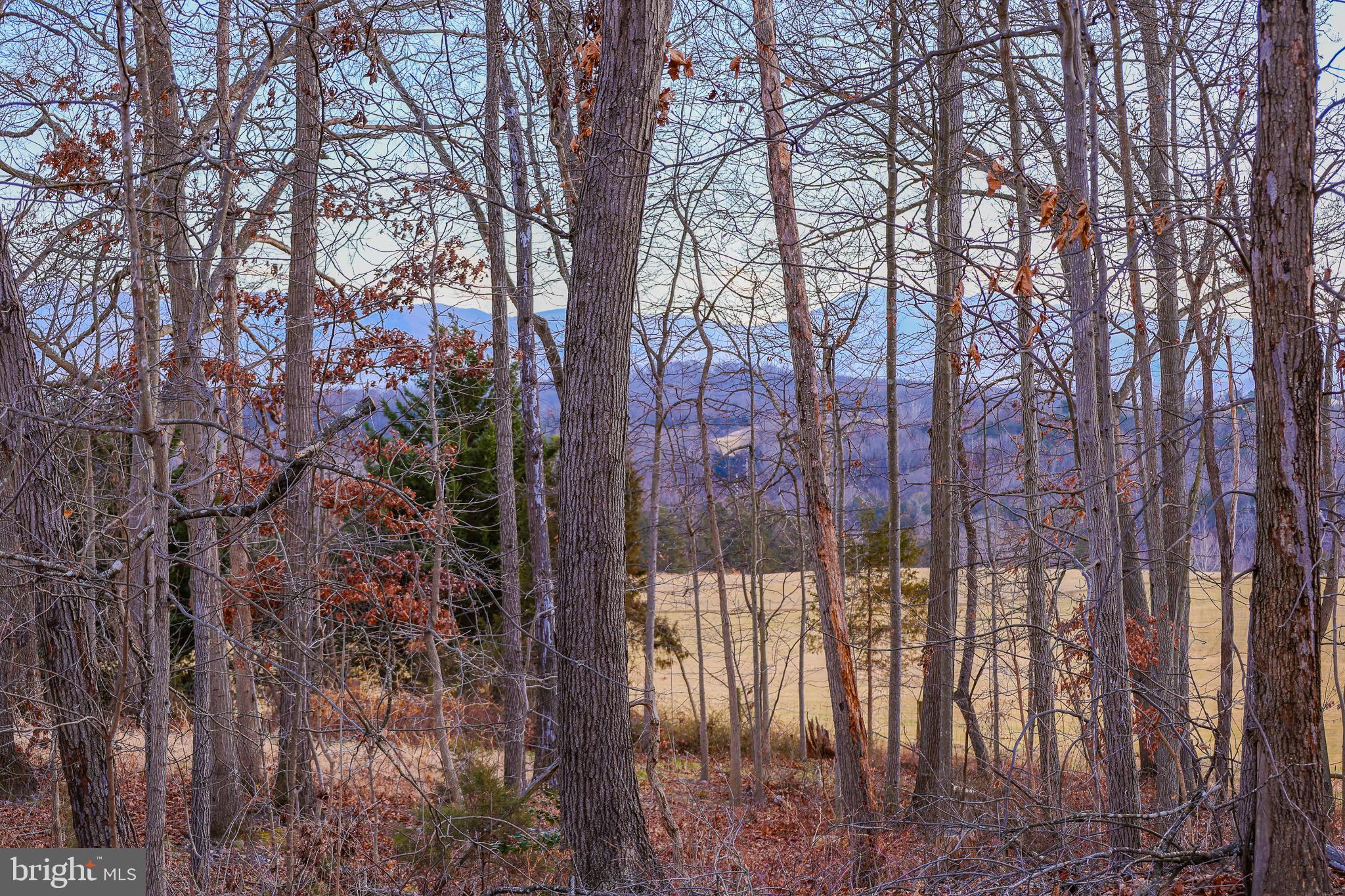 RIVERVIEW ESTATES - Land