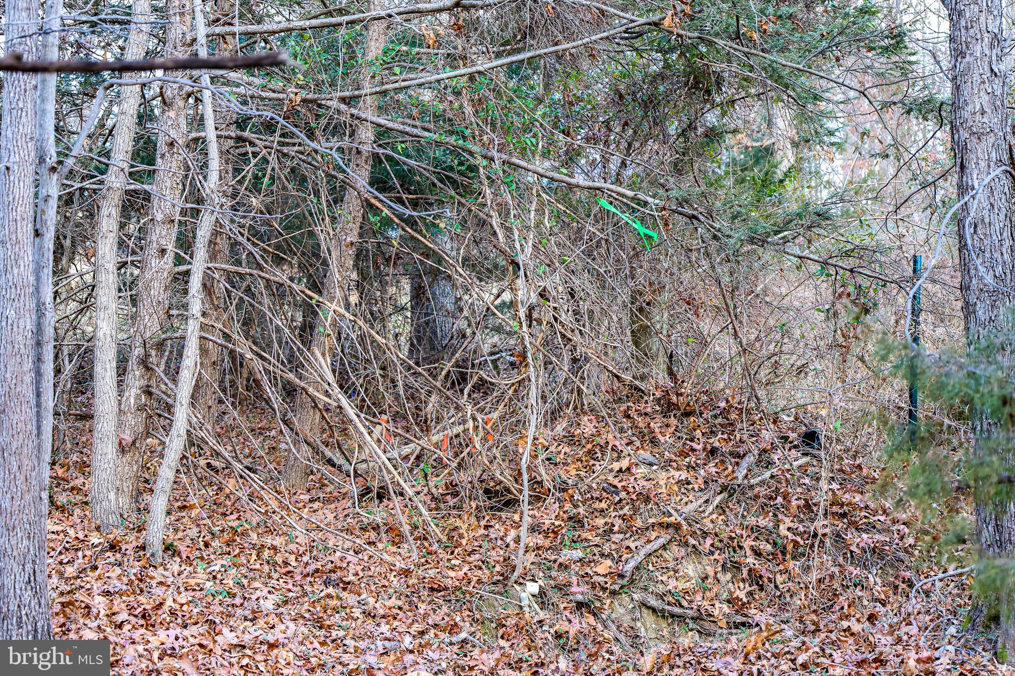 RIVERVIEW ESTATES - Land