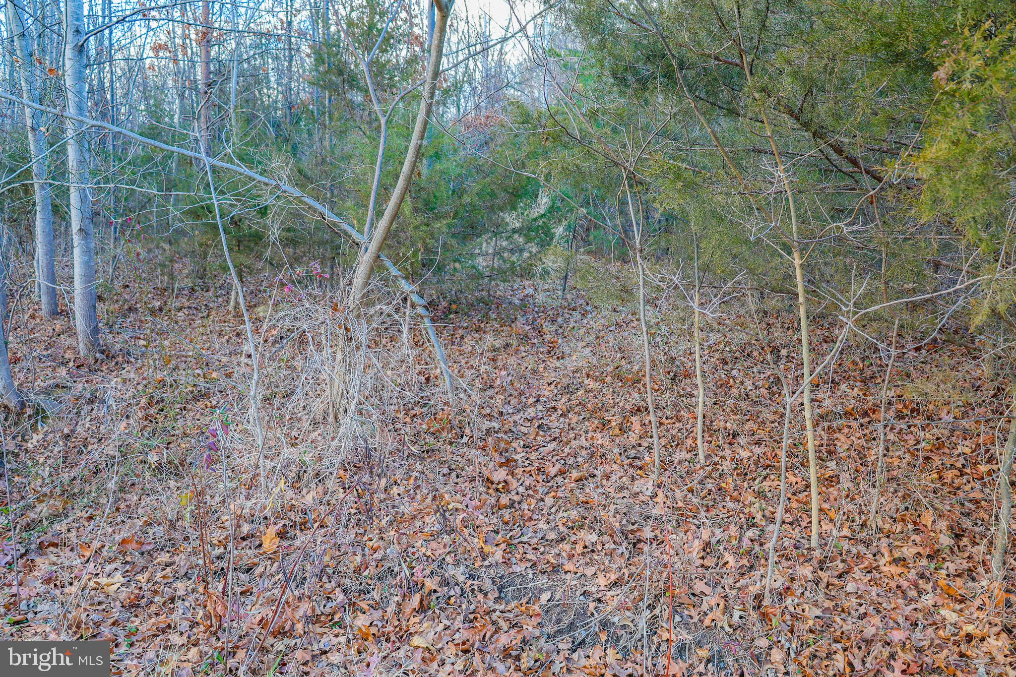 RIVERVIEW ESTATES - Land