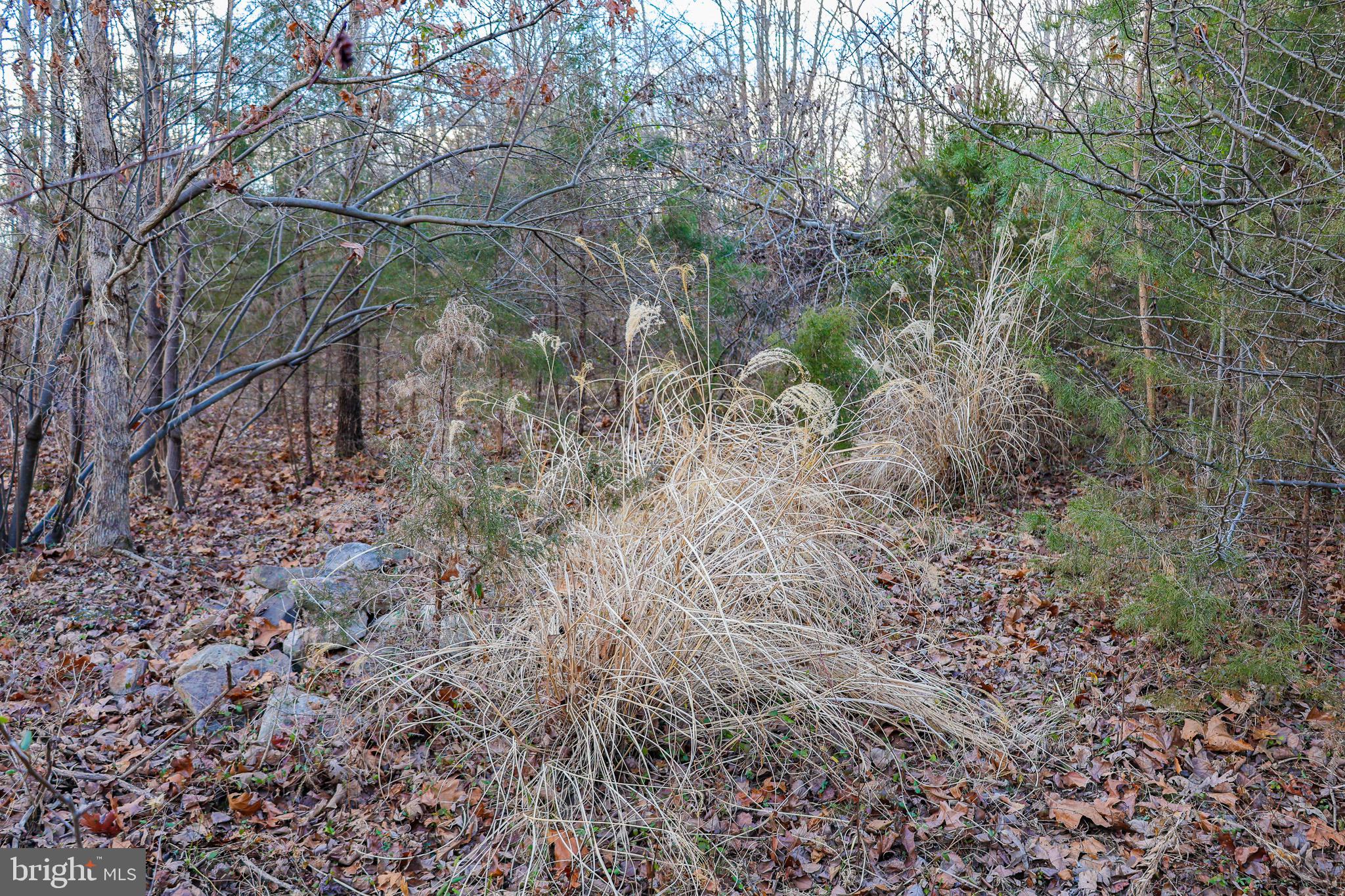 RIVERVIEW ESTATES - Land