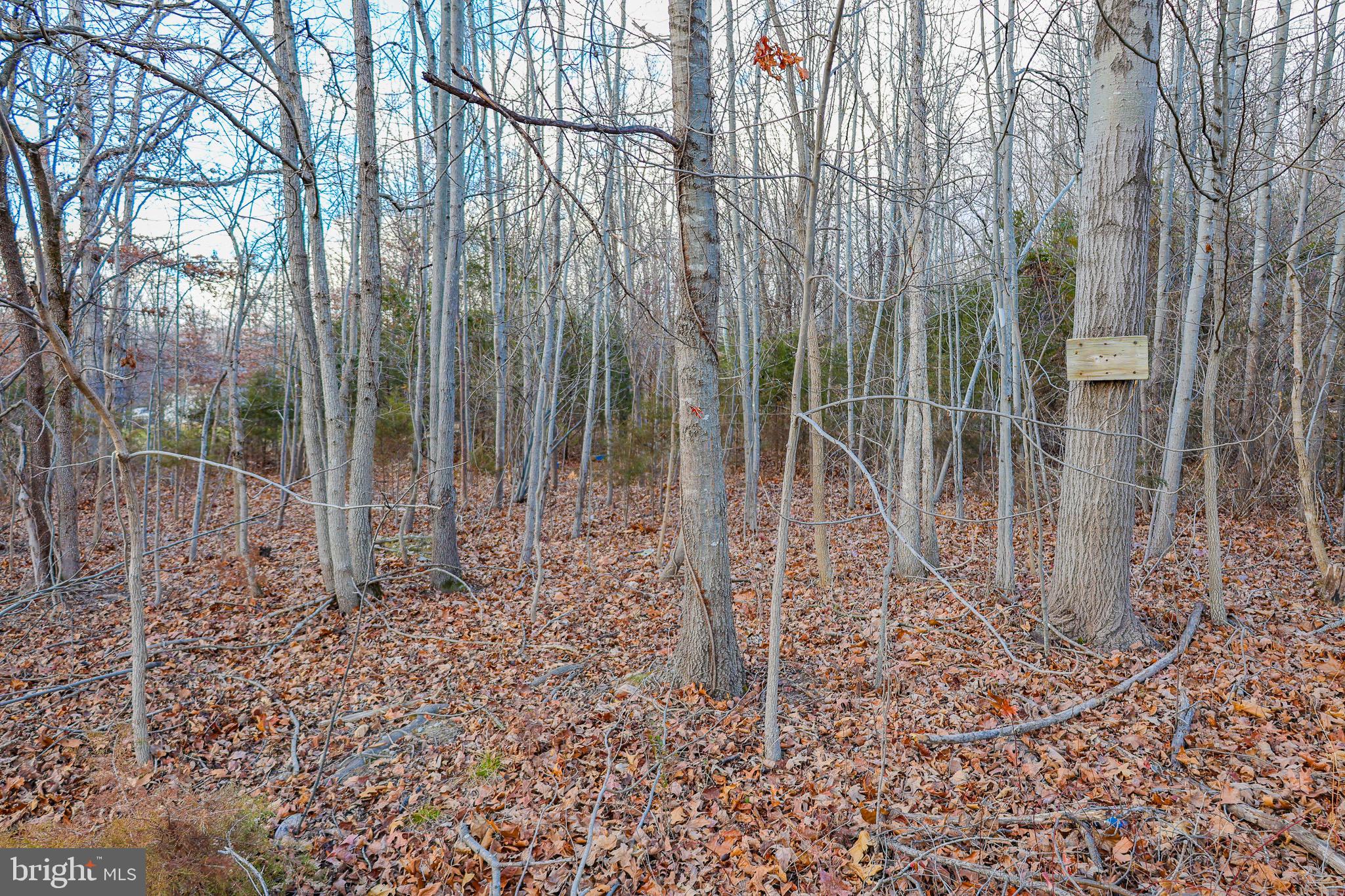 RIVERVIEW ESTATES - Land