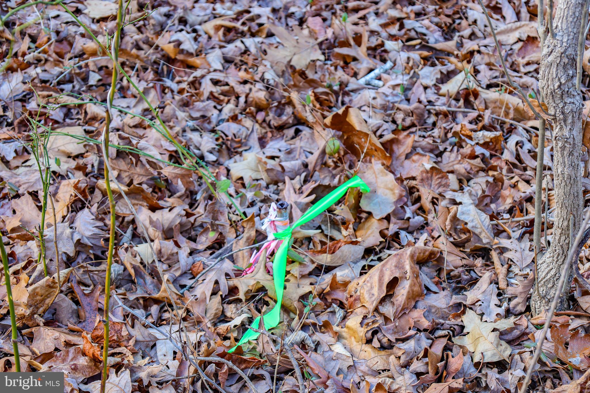 RIVERVIEW ESTATES - Land