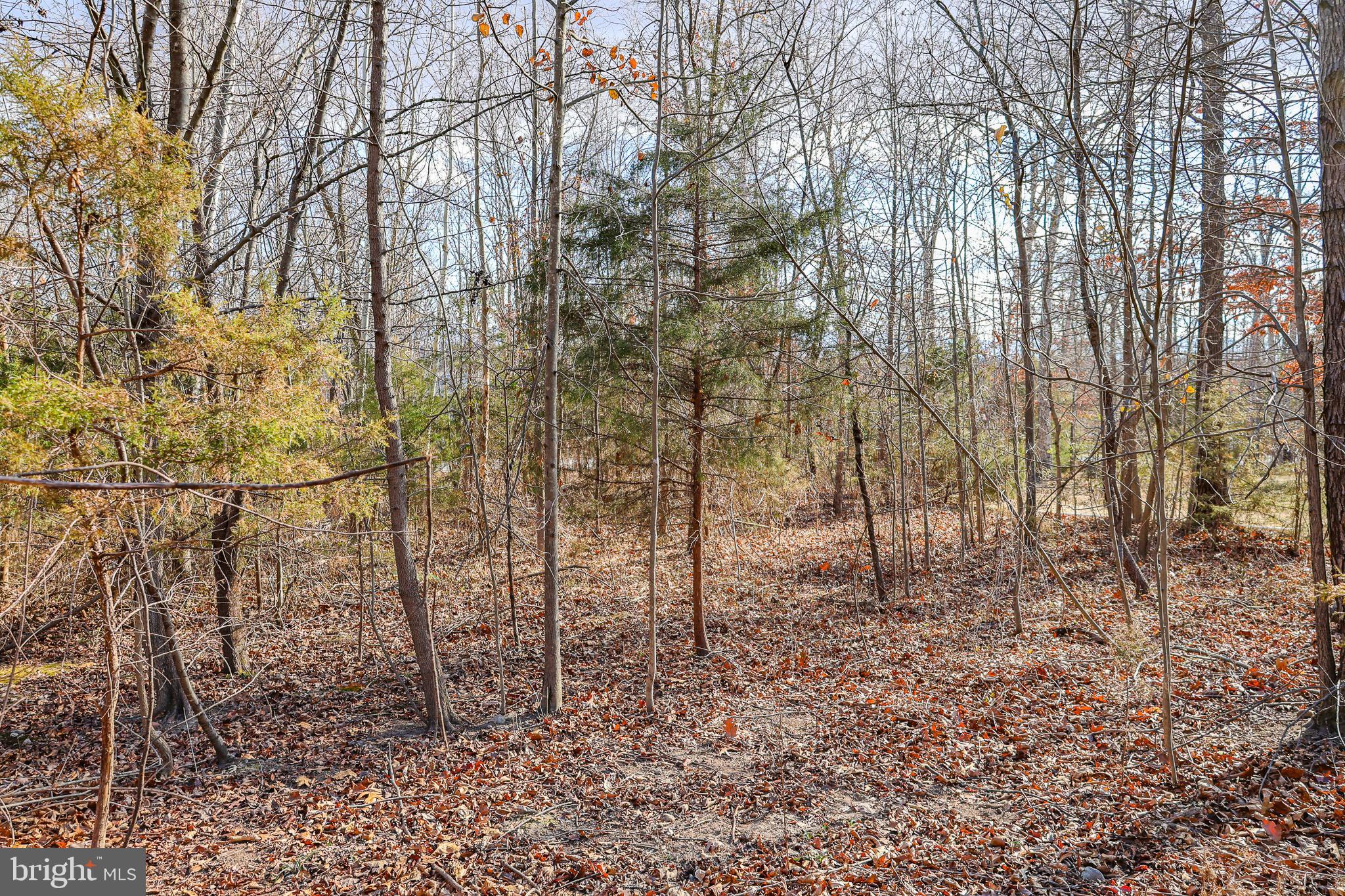 RIVERVIEW ESTATES - Land