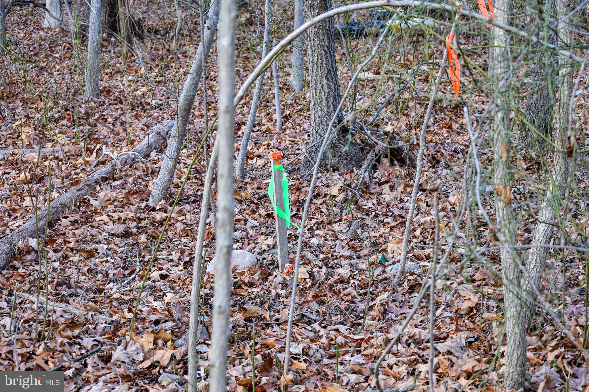 RIVERVIEW ESTATES - Land