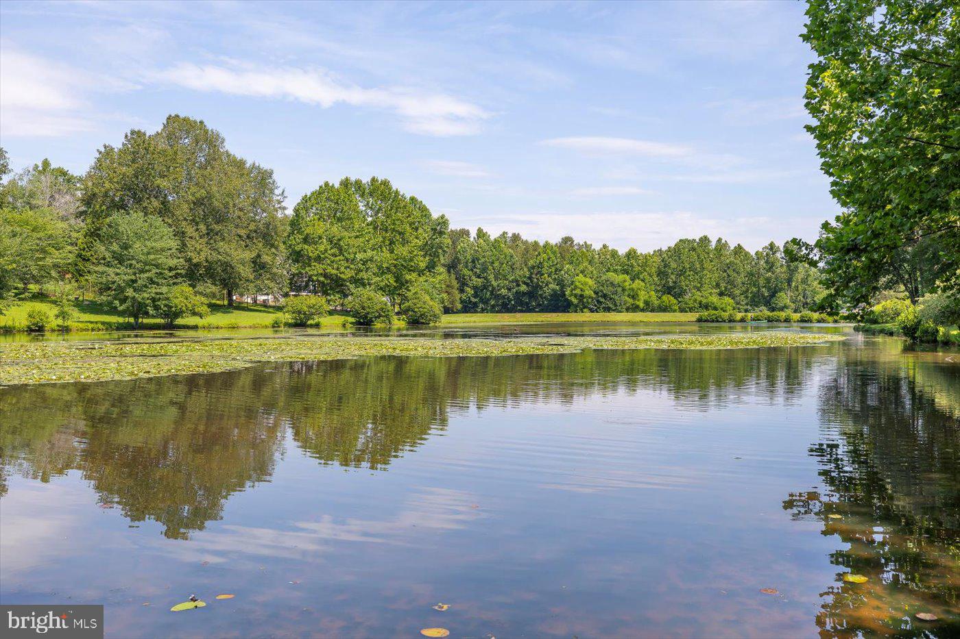 FIELDS OF GRIFFINSBURG - Residential