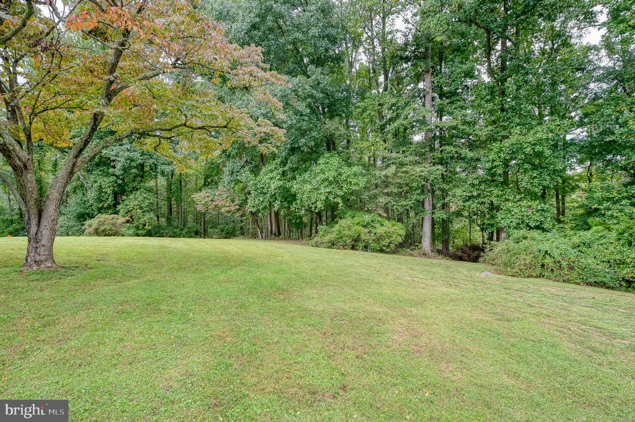 618 PLUMTREE ROAD