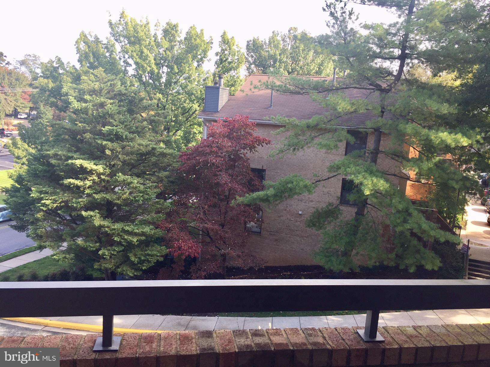 BRISTOL SQUARE - Residential Lease