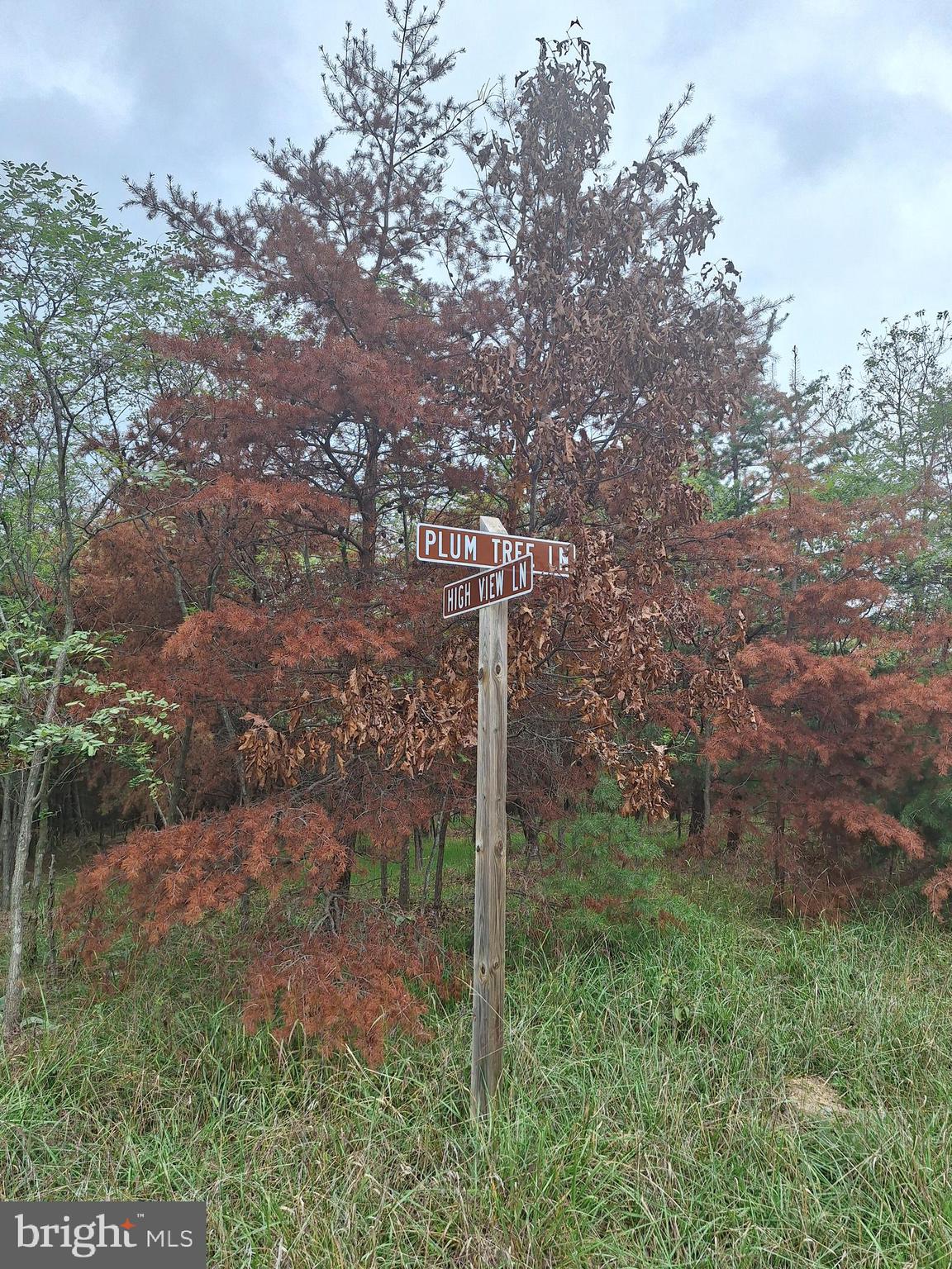 OAK FOREST SUBDIVISION - Residential