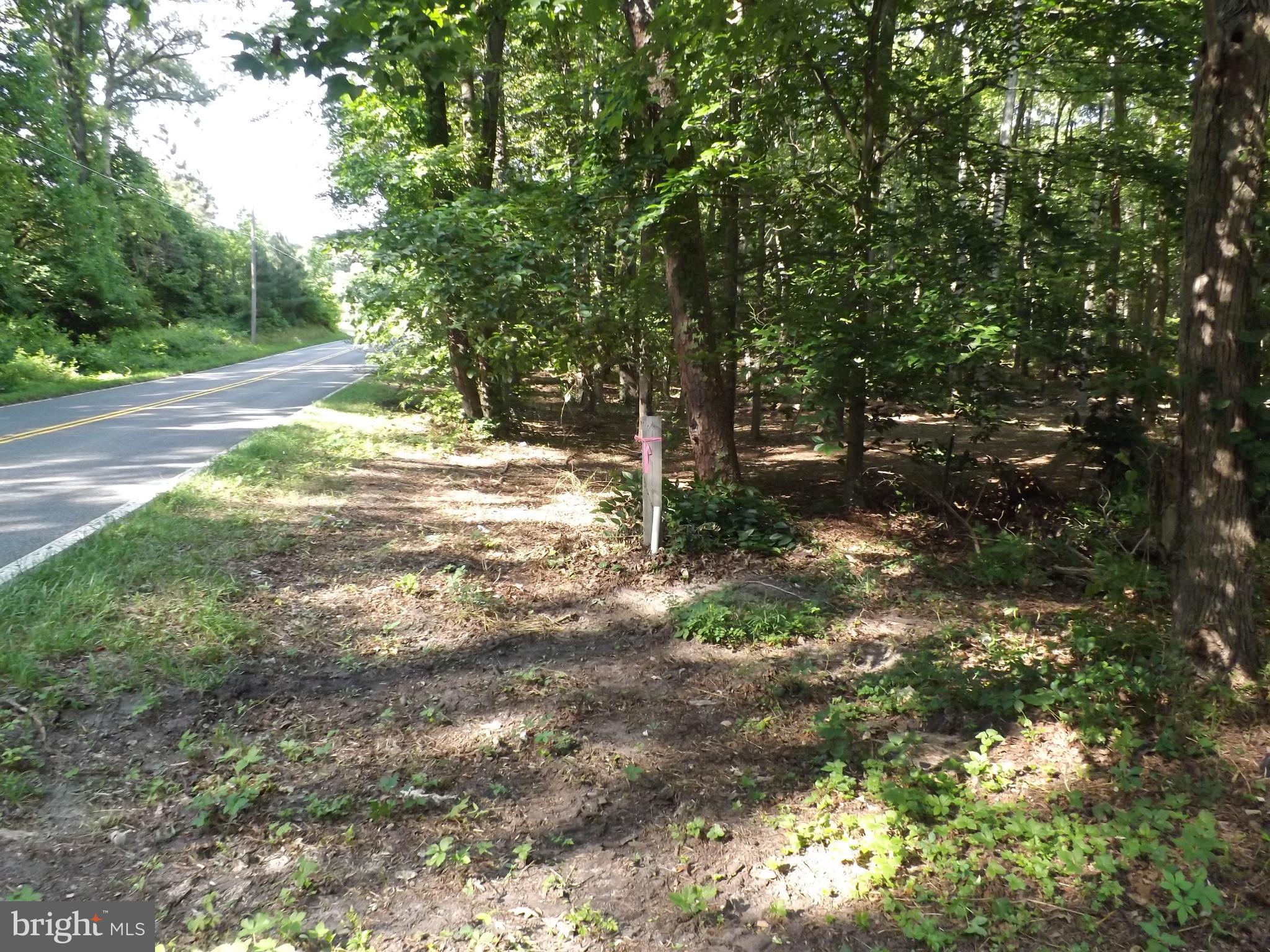 Flat lot, with trees and approved septic system.