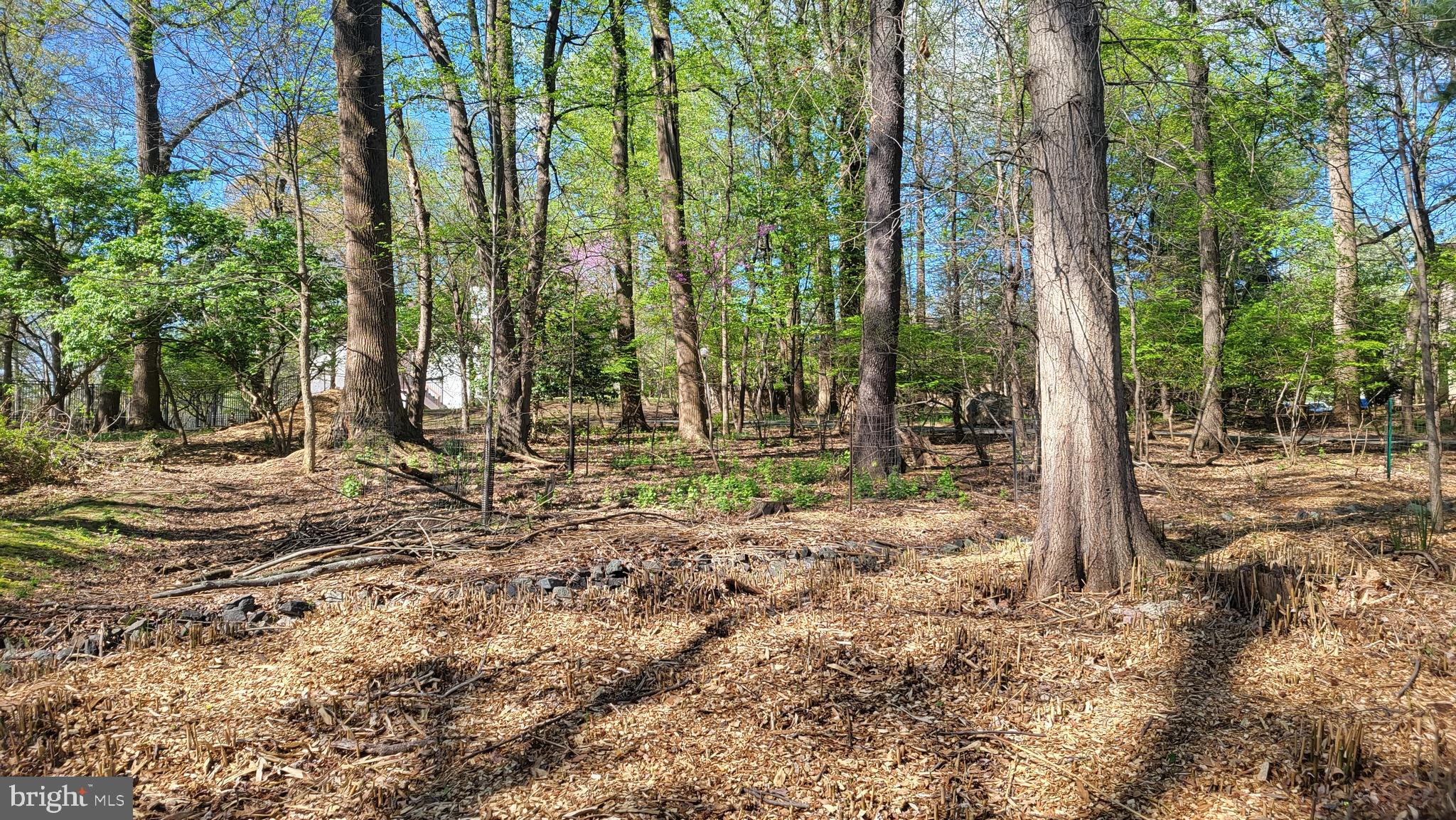 NEW MARK COMMONS - Residential