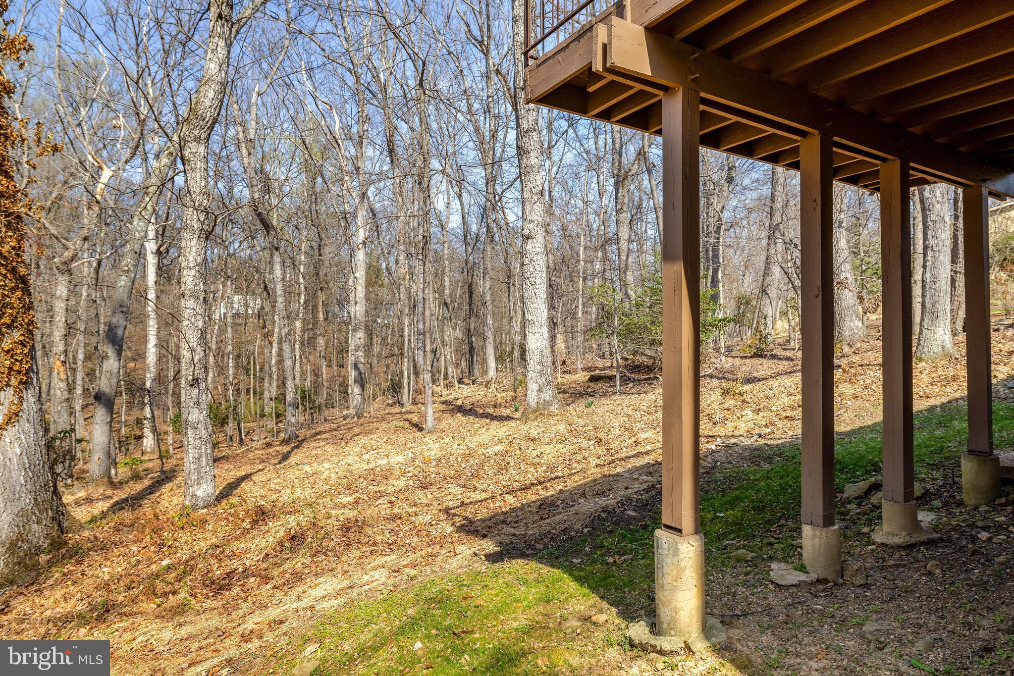 WOLF TRAP WOODS - Residential
