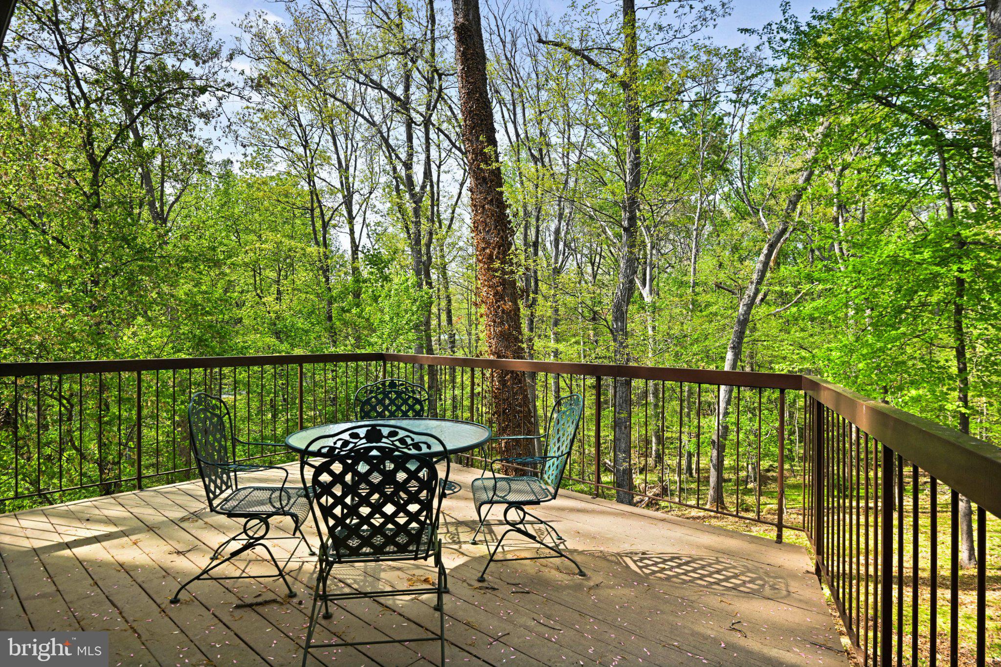 WOLF TRAP WOODS - Residential