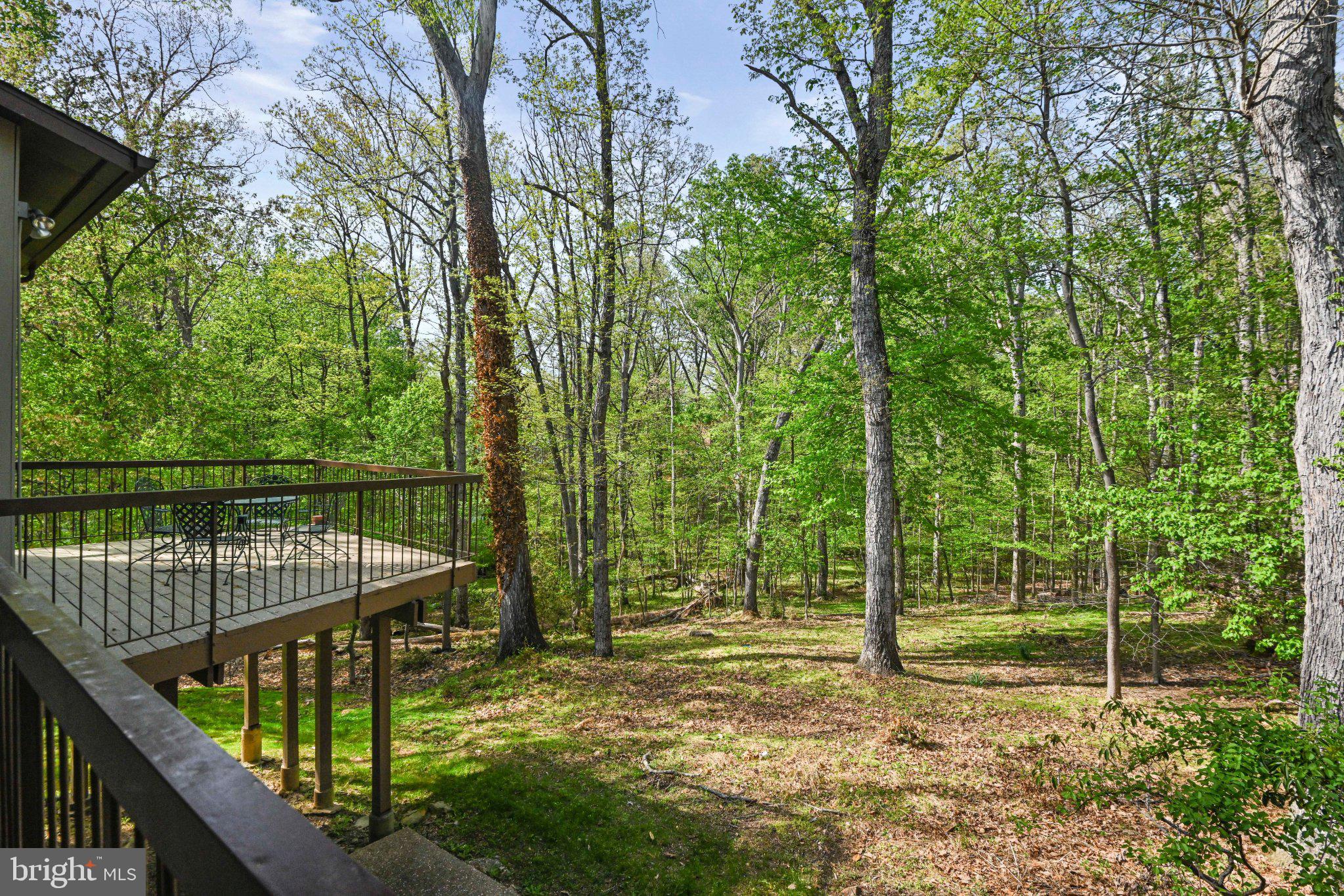 WOLF TRAP WOODS - Residential