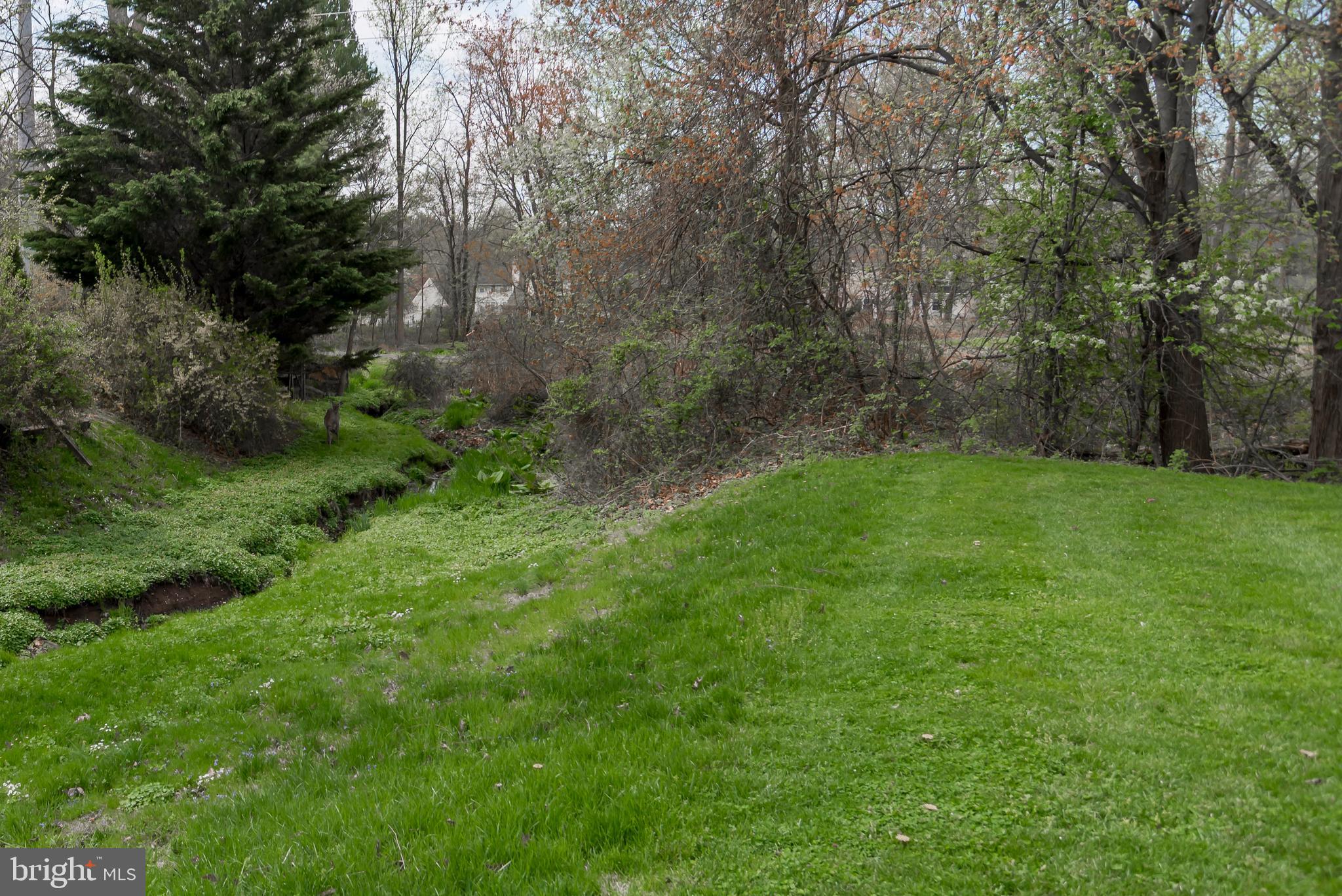 SAW MILL VALLEY - Residential