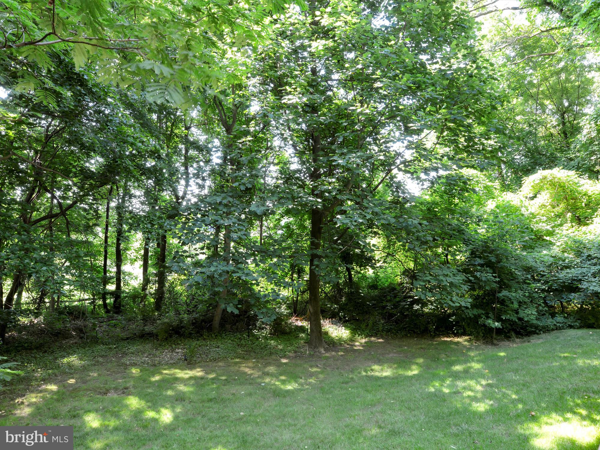 LAUREL WOODS - Residential