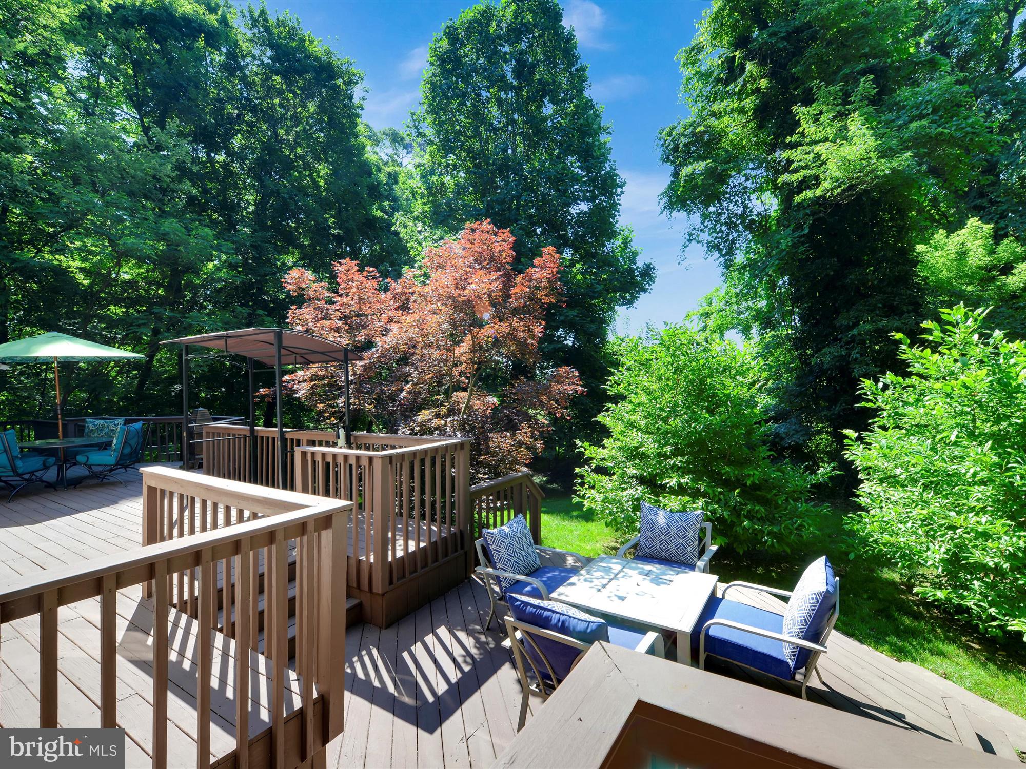 LAUREL WOODS - Residential