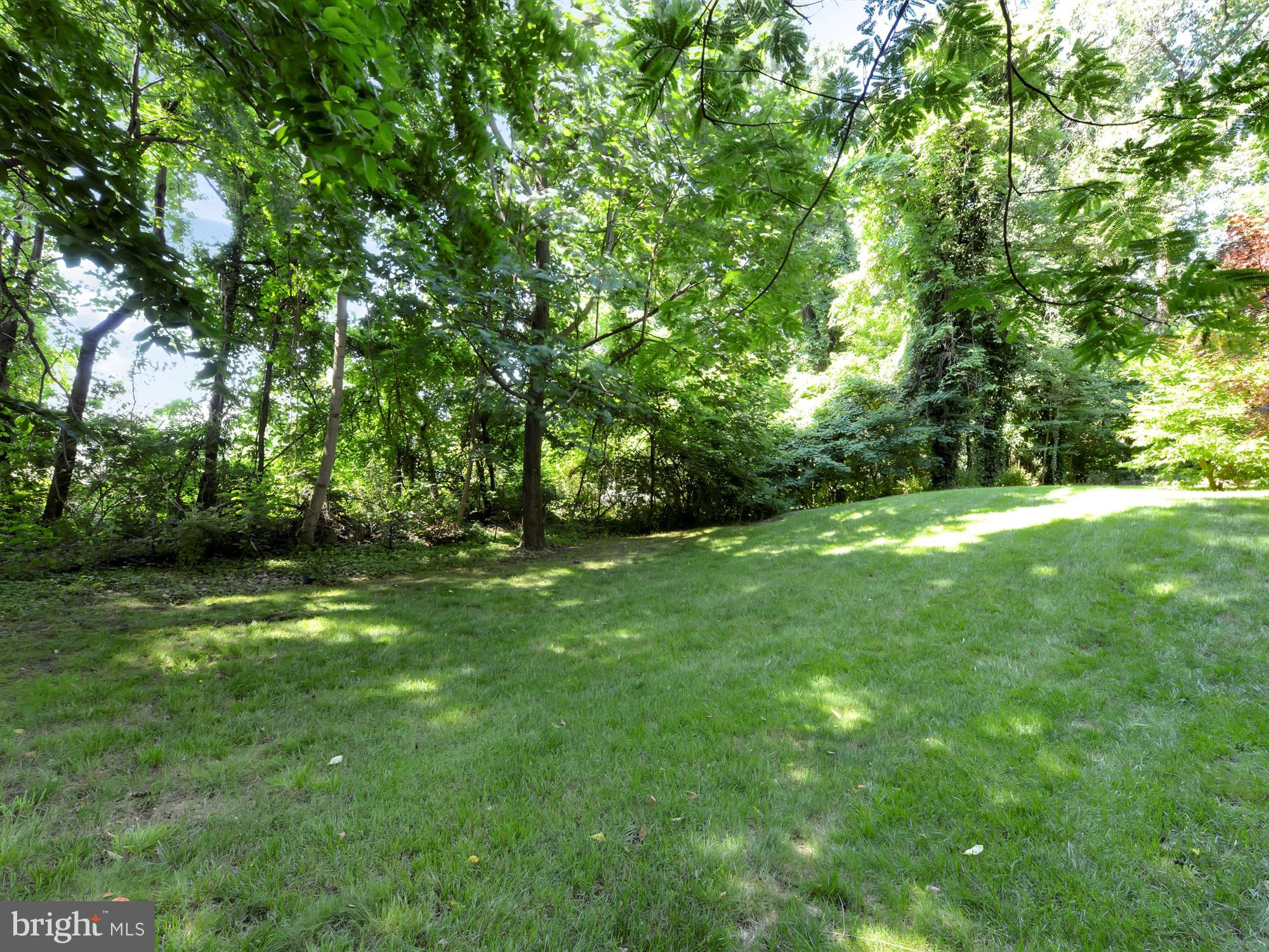 LAUREL WOODS - Residential