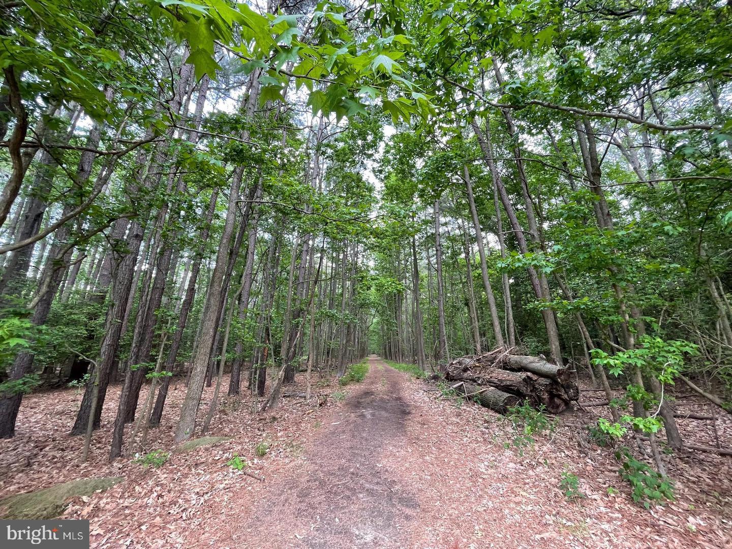 SWAN POINT - Residential