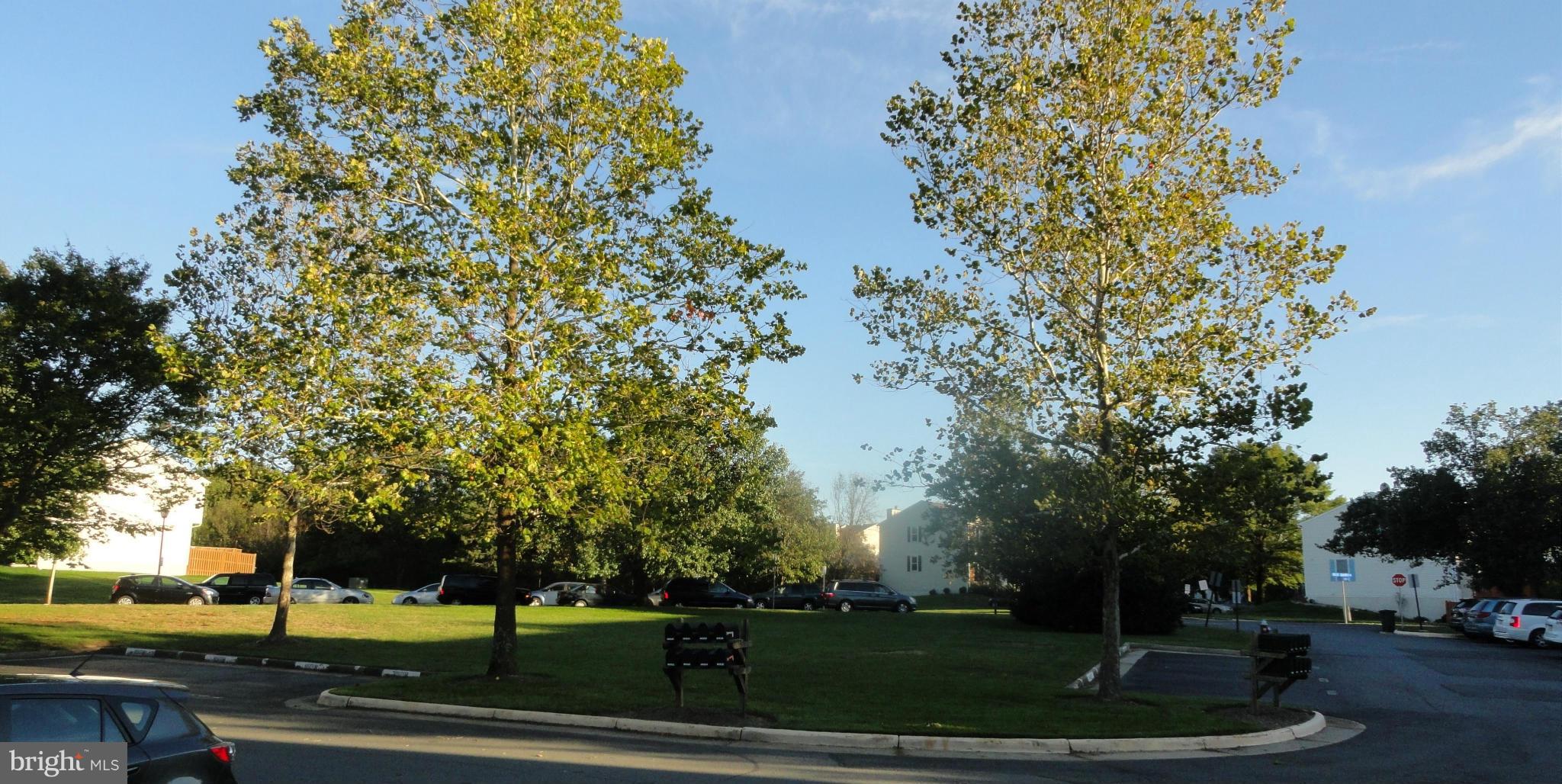 FRANKLIN FARM - Residential Lease