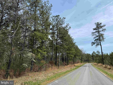 Vacant Land For Sale - S. Flint Hill Road (rt. 829)(tract: Reynolds A-2)<br/> Pittsylvania County, CHATHAM, VA 24531