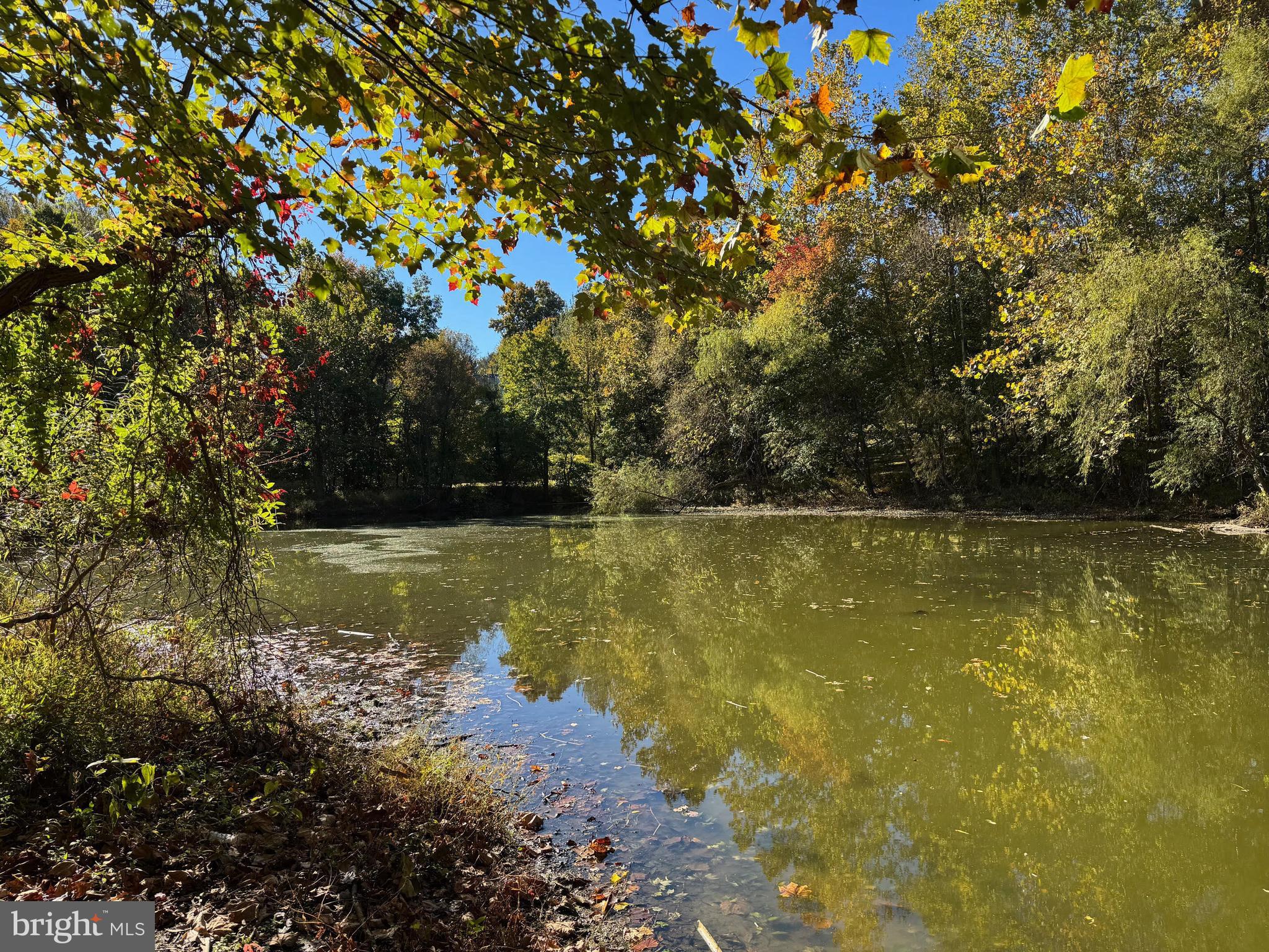 LAKE HALLOWELL - Residential