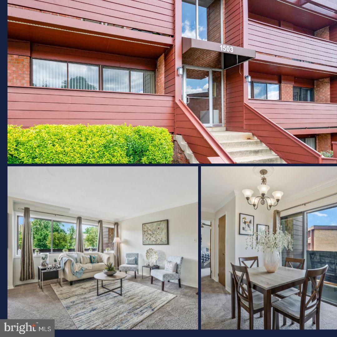 GEORGE MASON VILLAGE - Residential