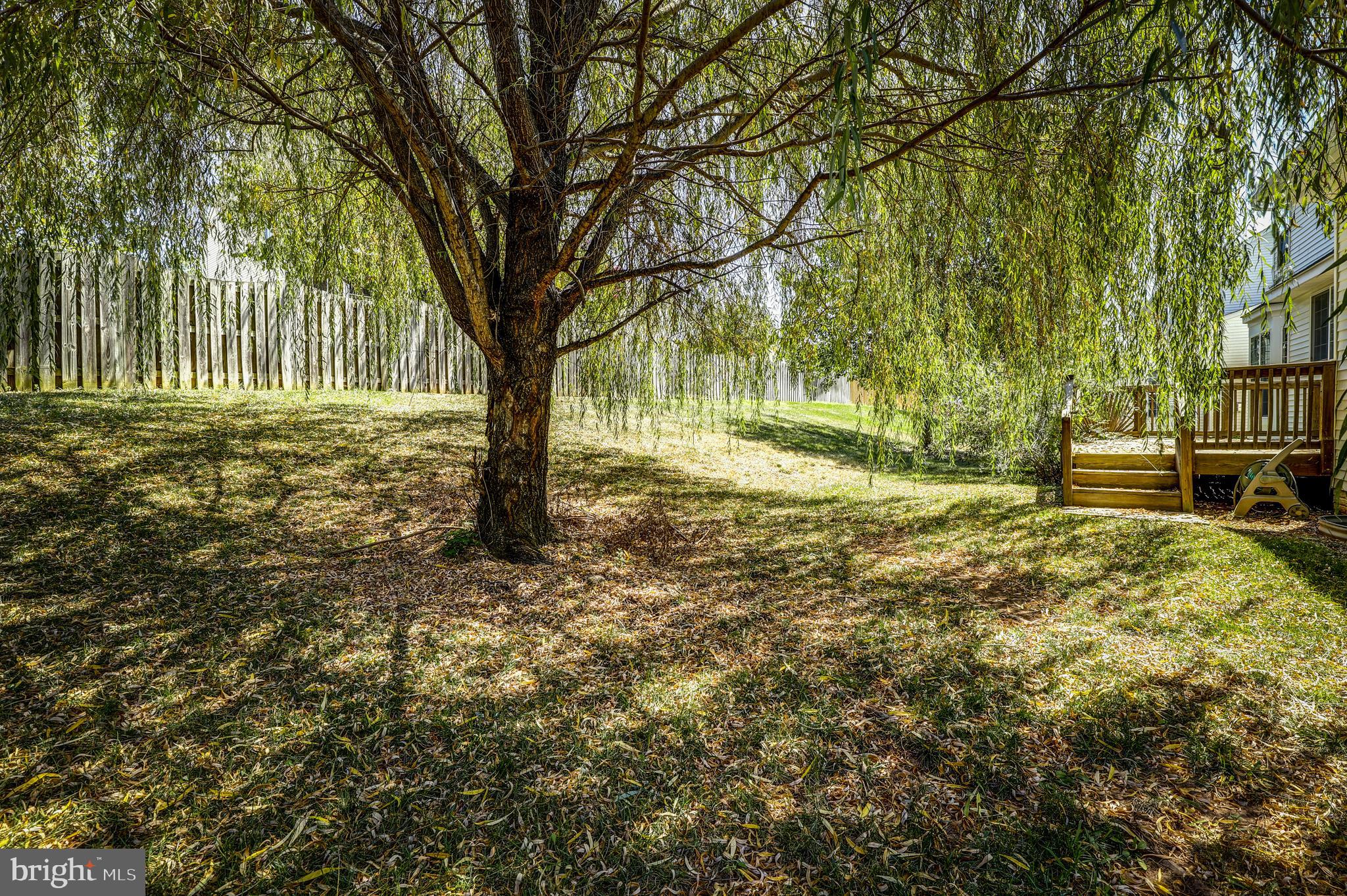 SHEFFIELD MANOR - Residential