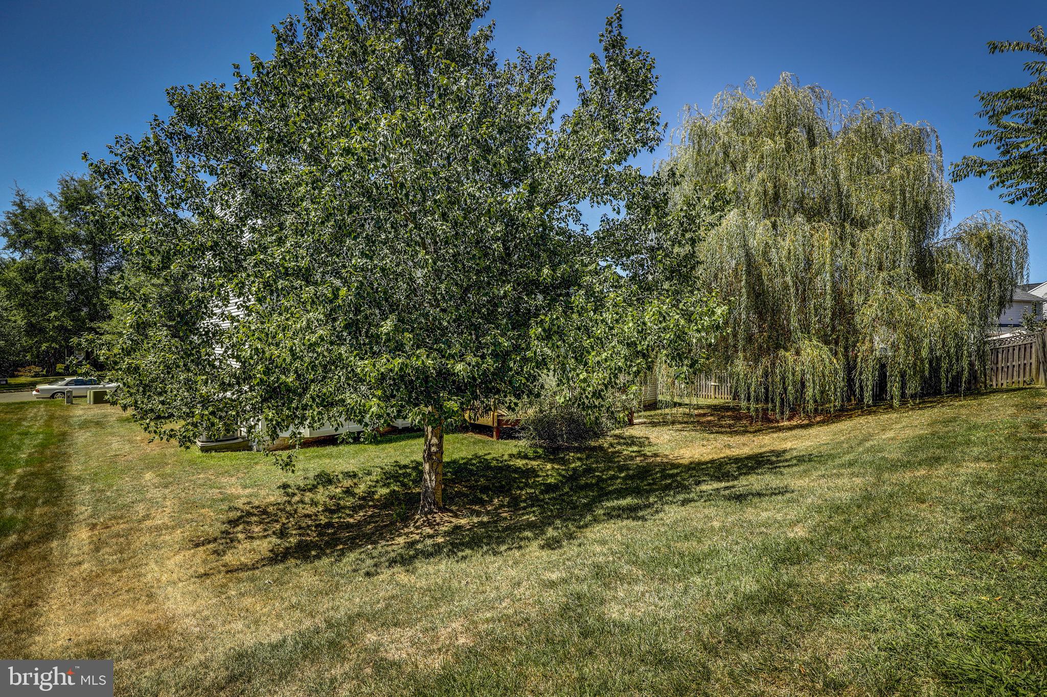 SHEFFIELD MANOR - Residential