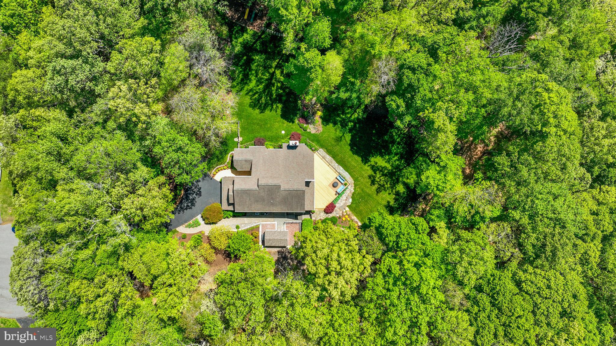 12701 SPRINGFIELD COURT