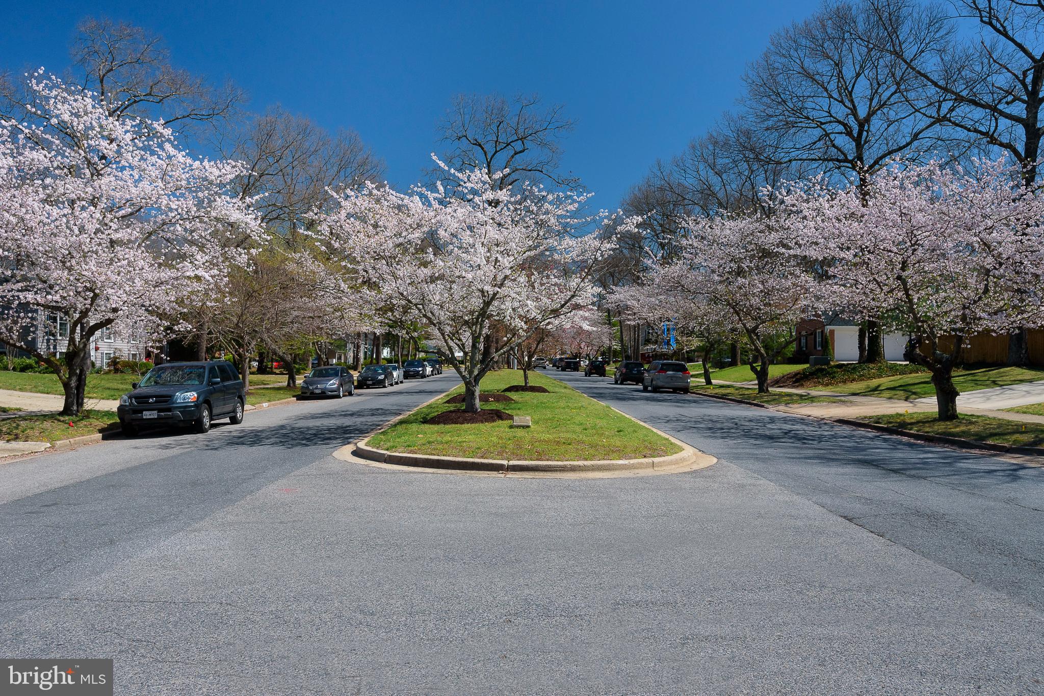 CROFTON PARK - Residential