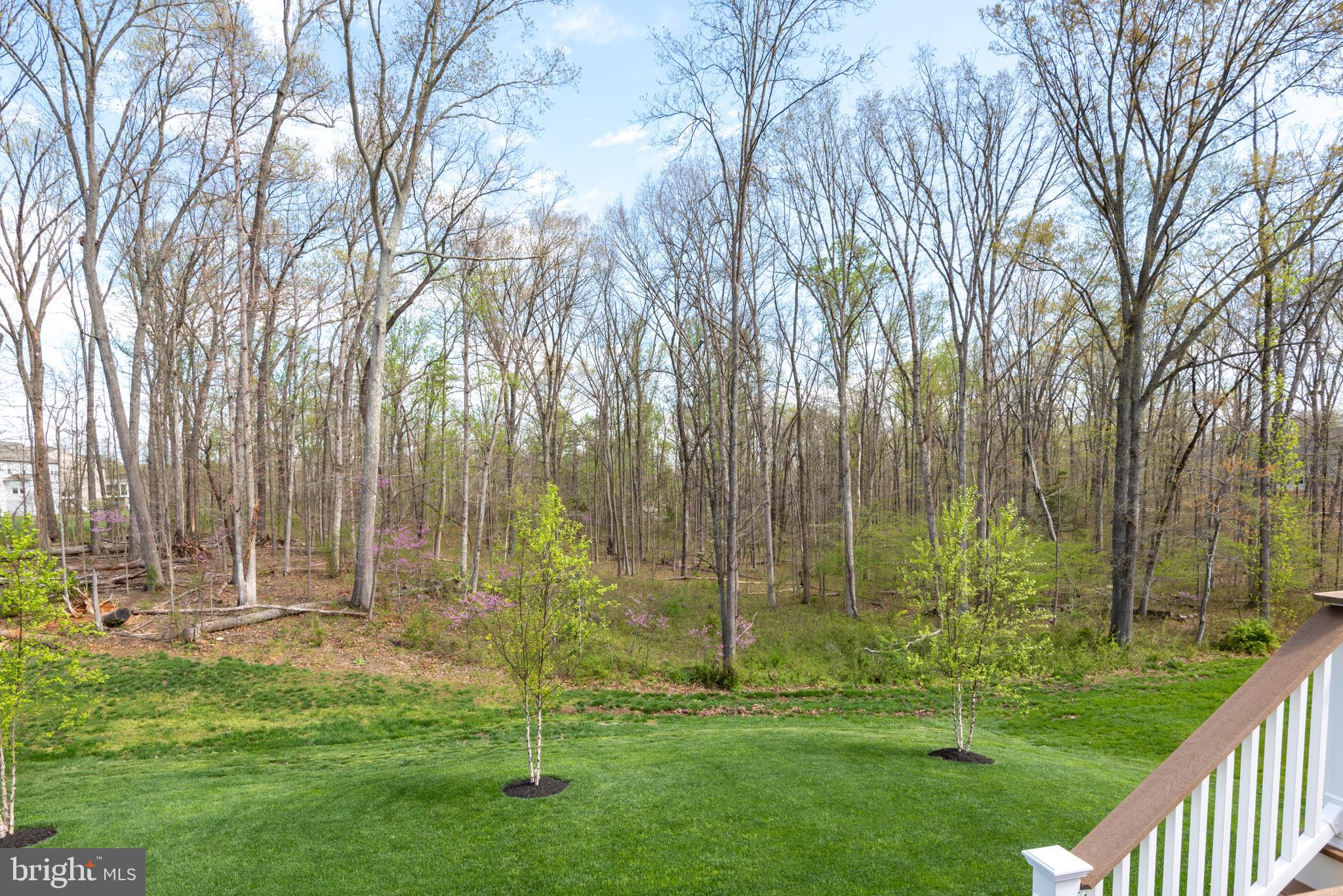 VILLAGES OF PIEDMONT II - Residential