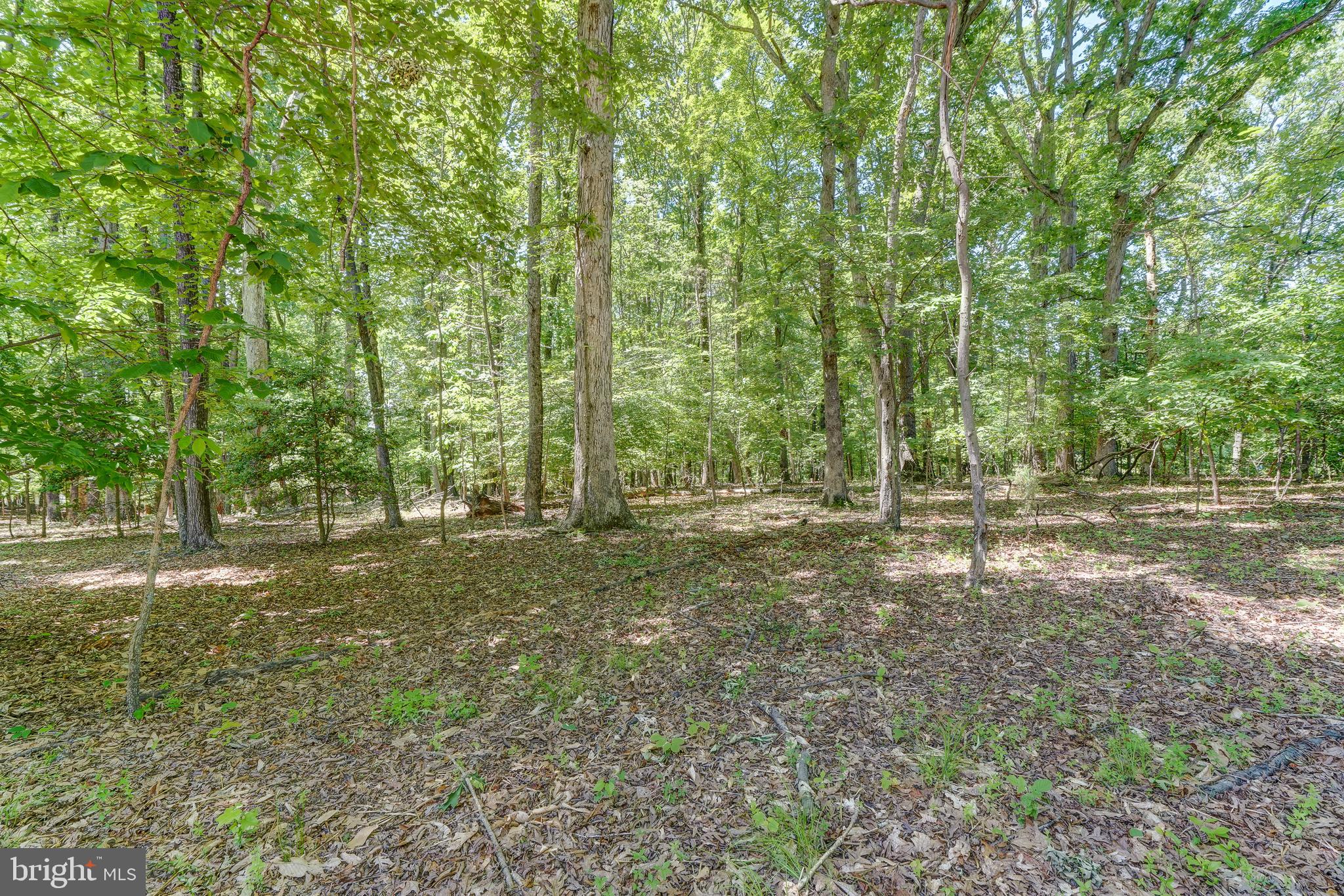 WOOD DUCK COVE - Residential